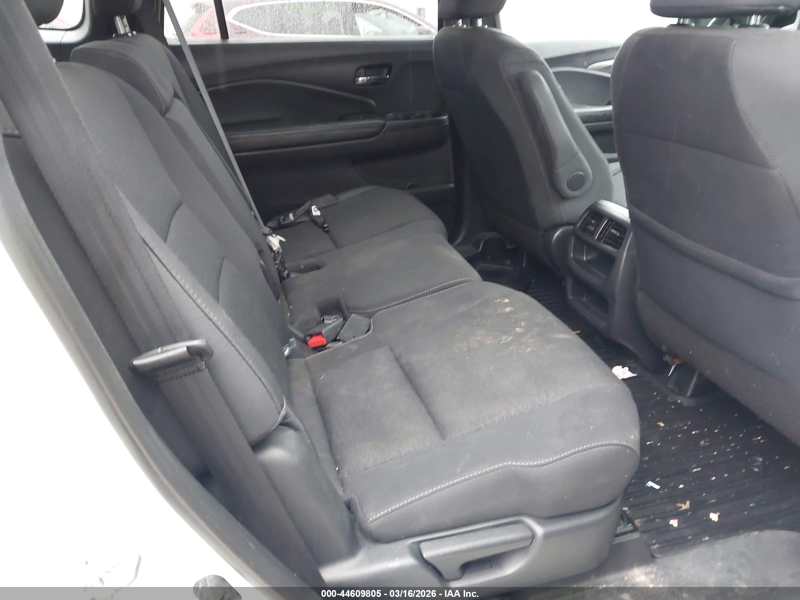 HONDA PASSPORT image 8