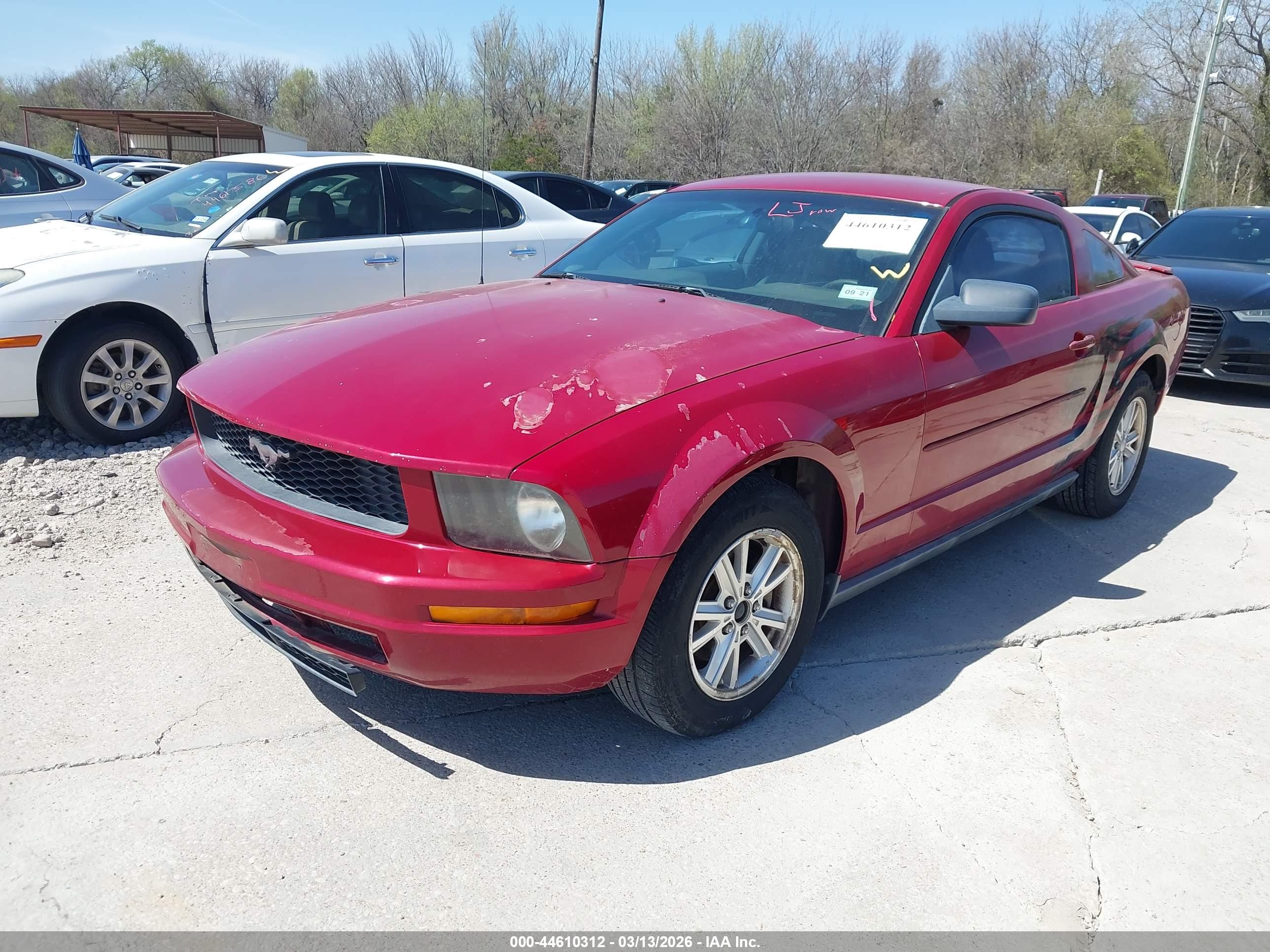 FORD MUSTANG image 2