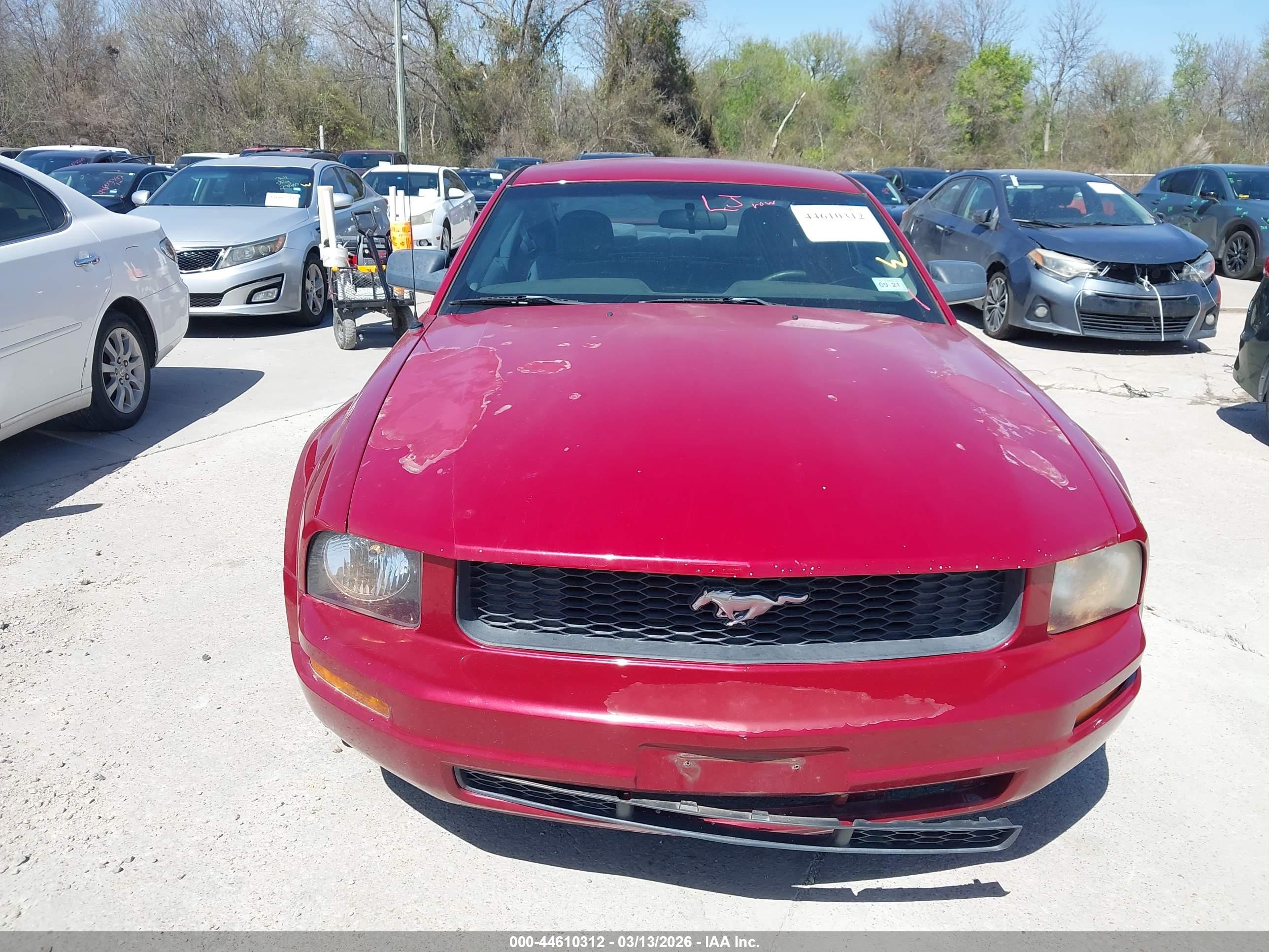 FORD MUSTANG image 6