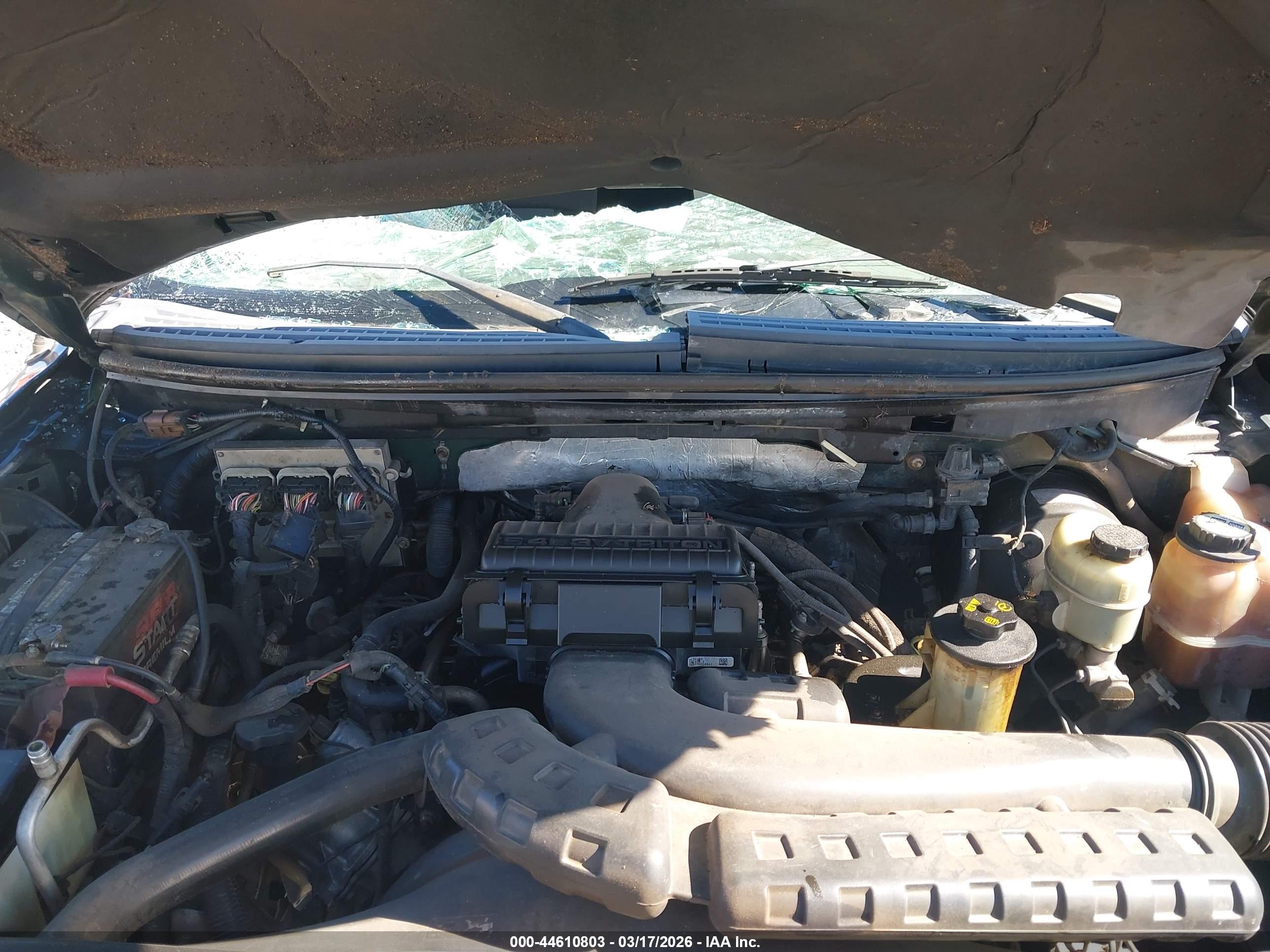 FORD F-150 image 10