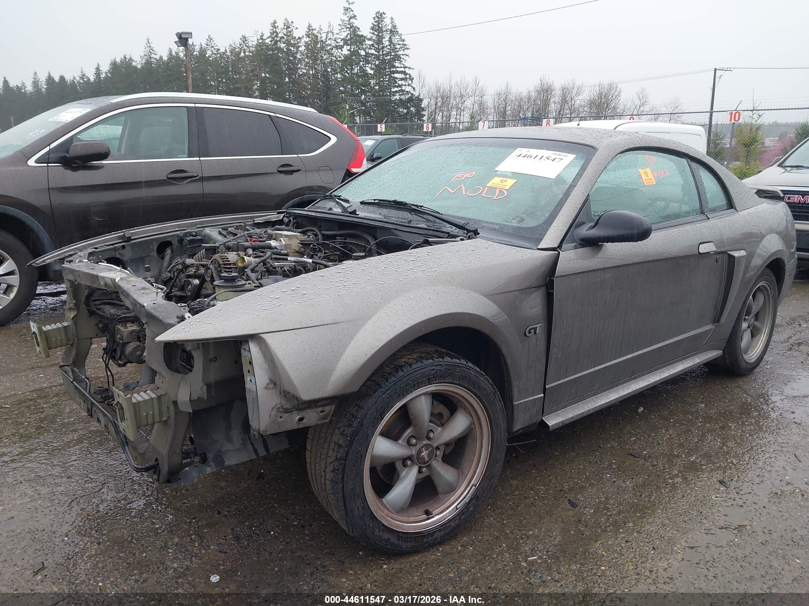 FORD MUSTANG image 2