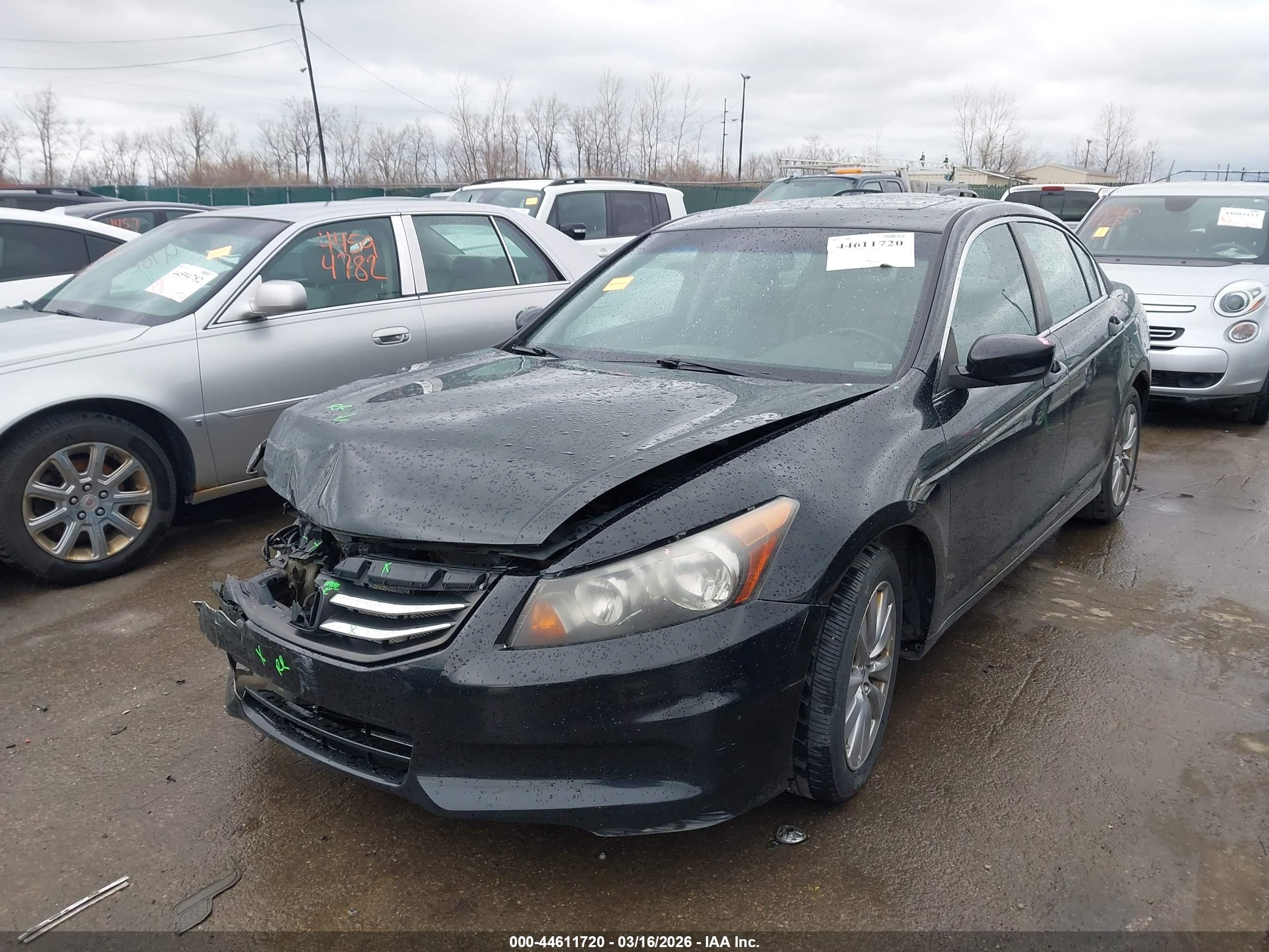 HONDA ACCORD image 2