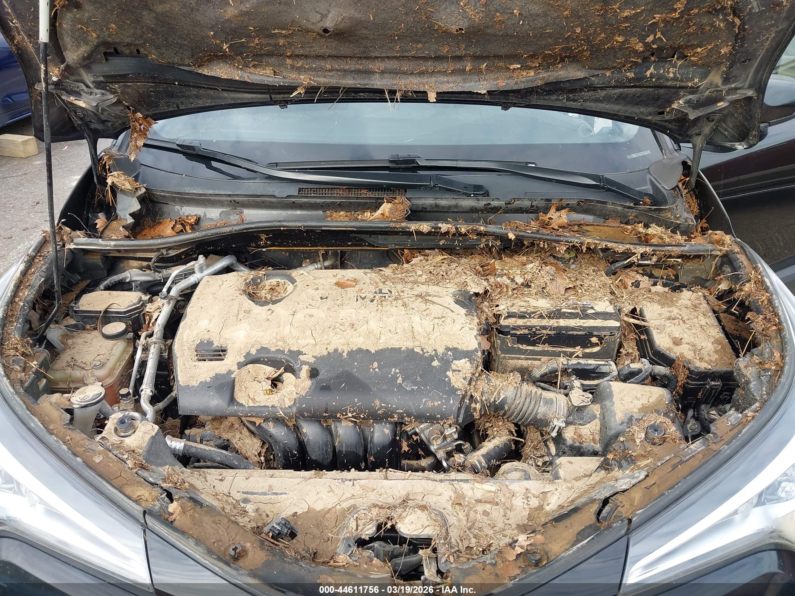 TOYOTA C-HR image 10
