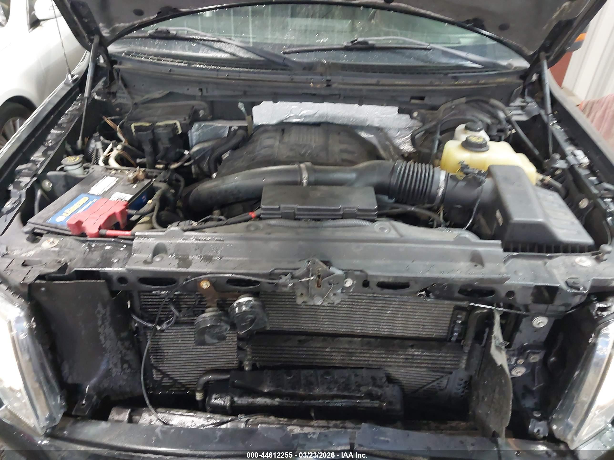 FORD F-150 image 10