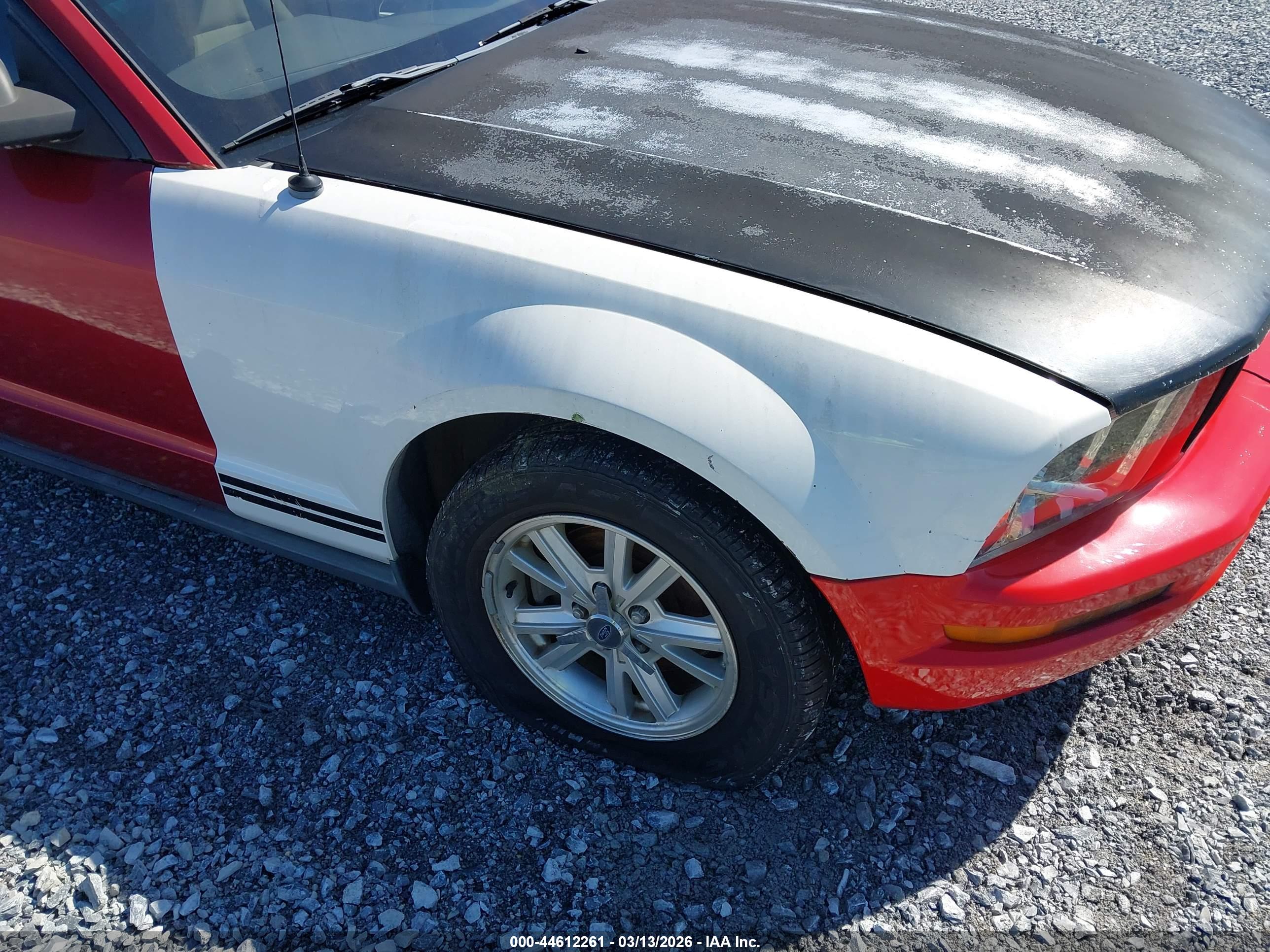 FORD MUSTANG image 6