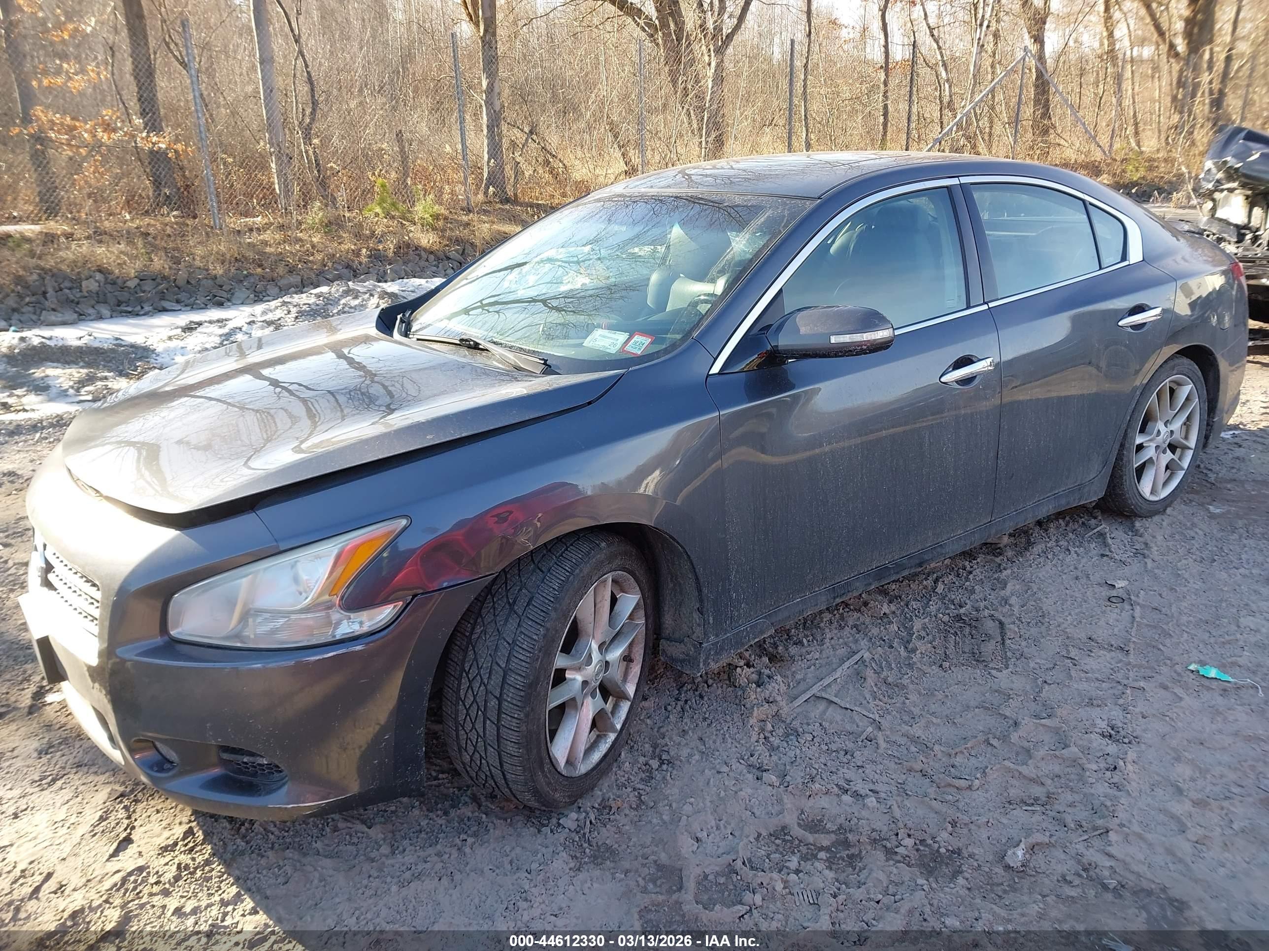 NISSAN MAXIMA image 2