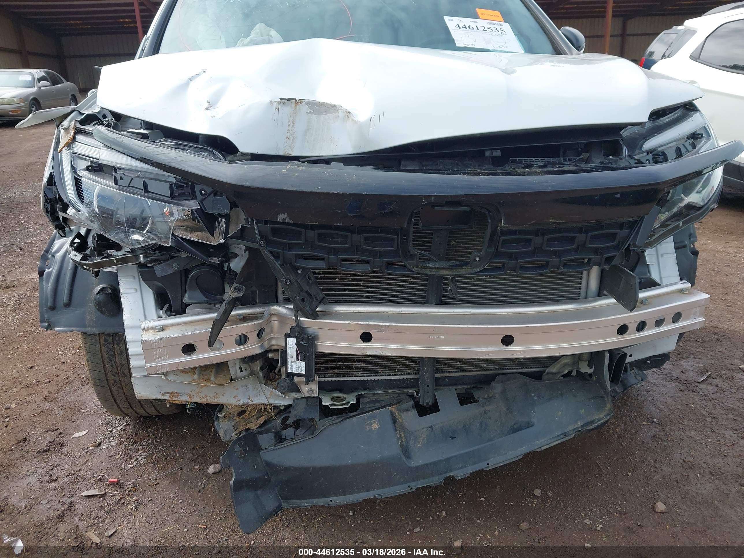 HONDA PASSPORT image 6
