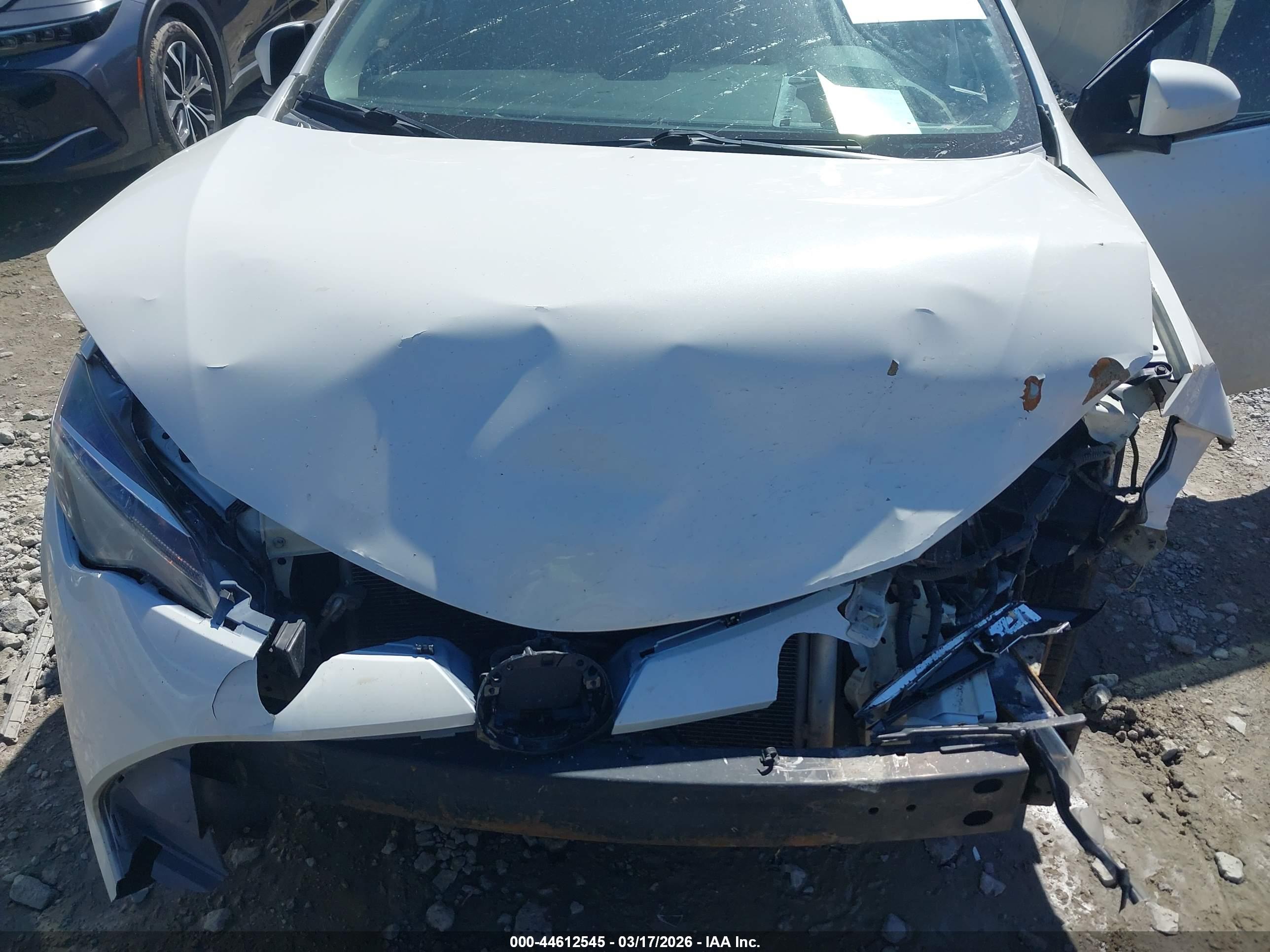 TOYOTA COROLLA image 6