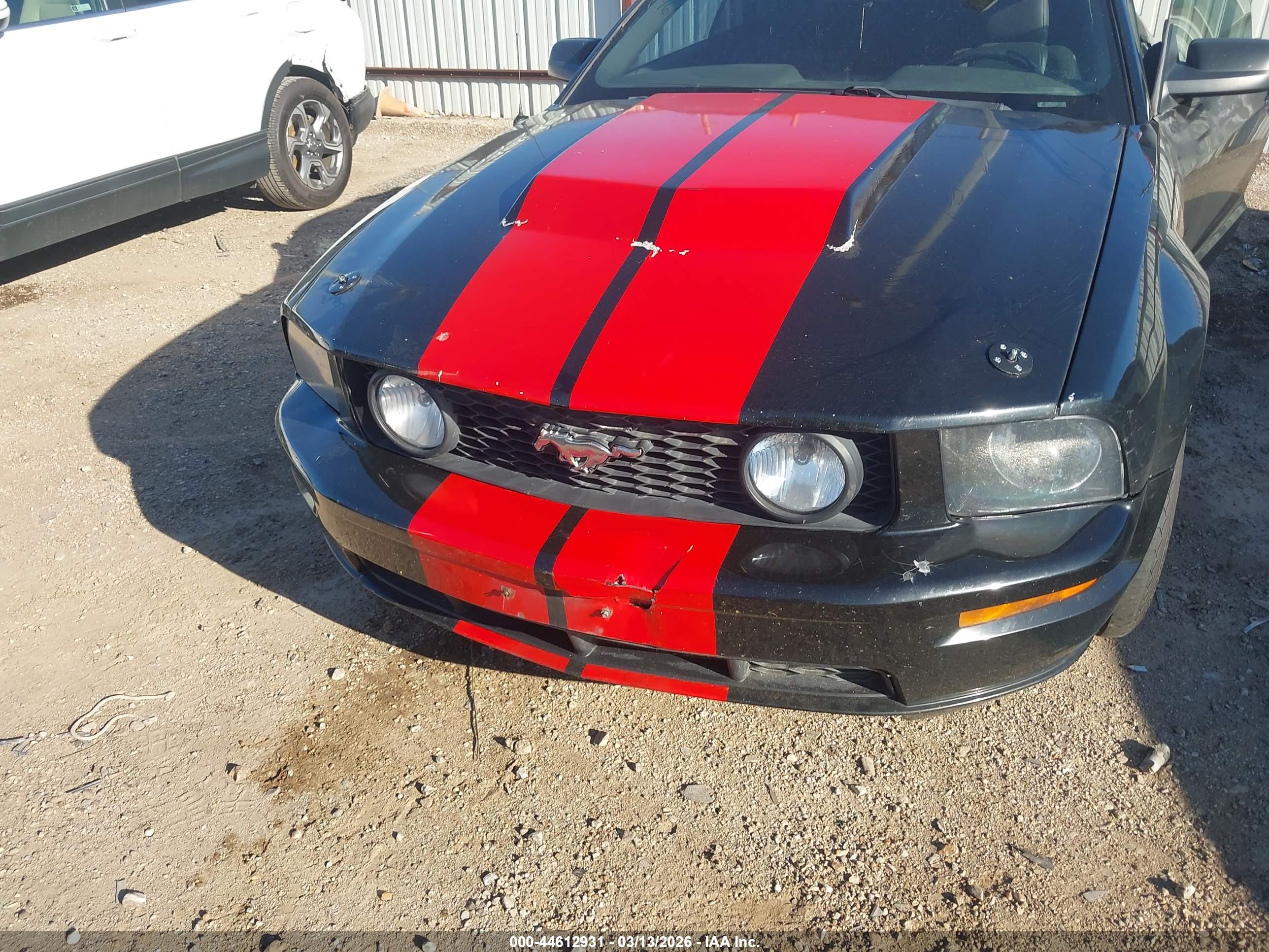 FORD MUSTANG image 6