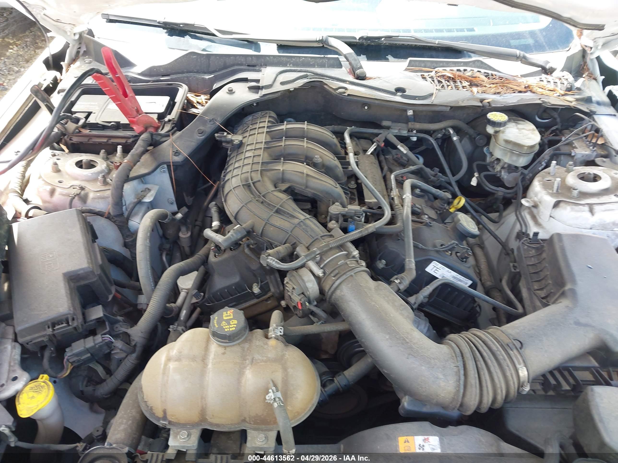 FORD MUSTANG image 10