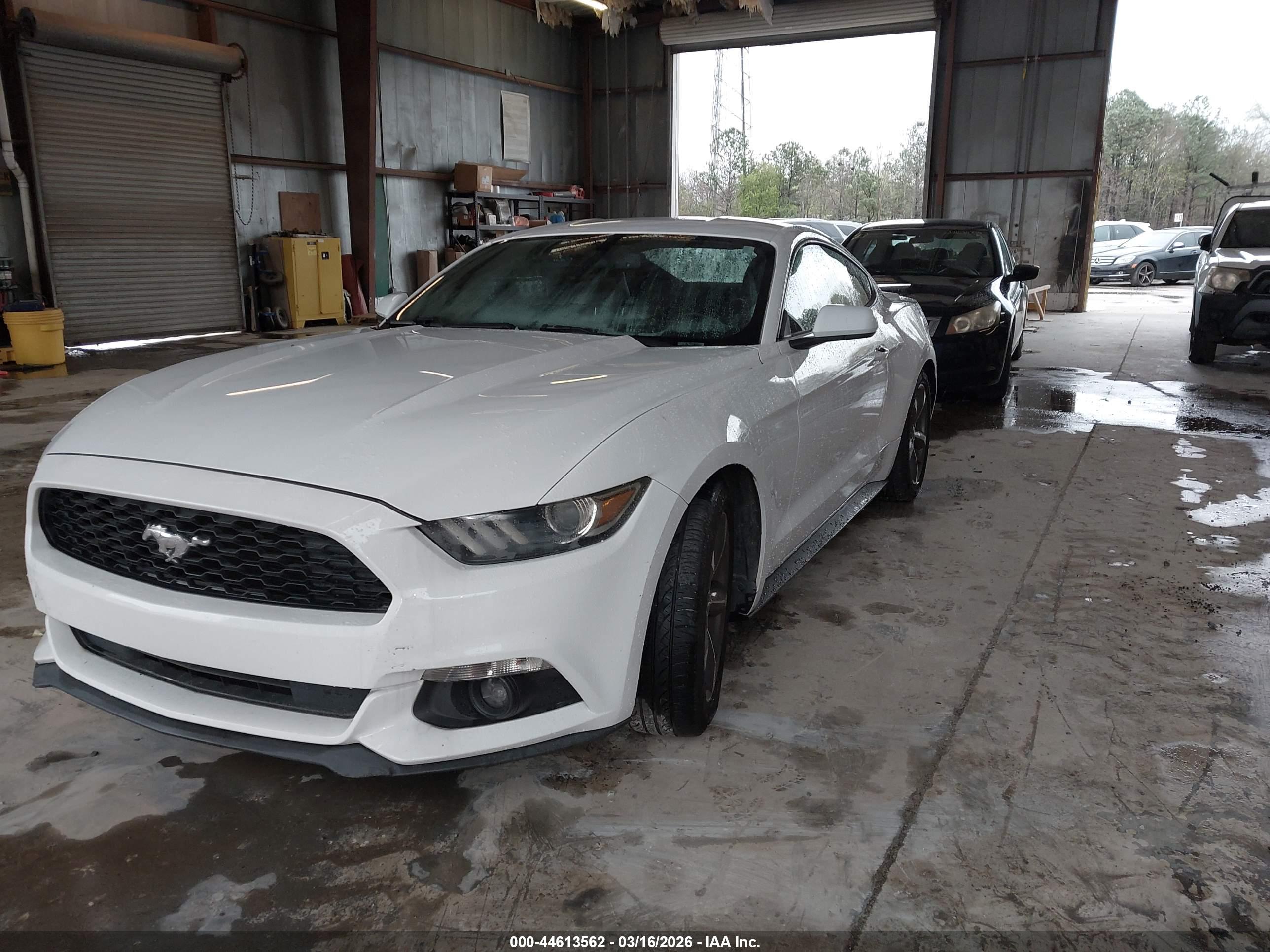 FORD MUSTANG image 2