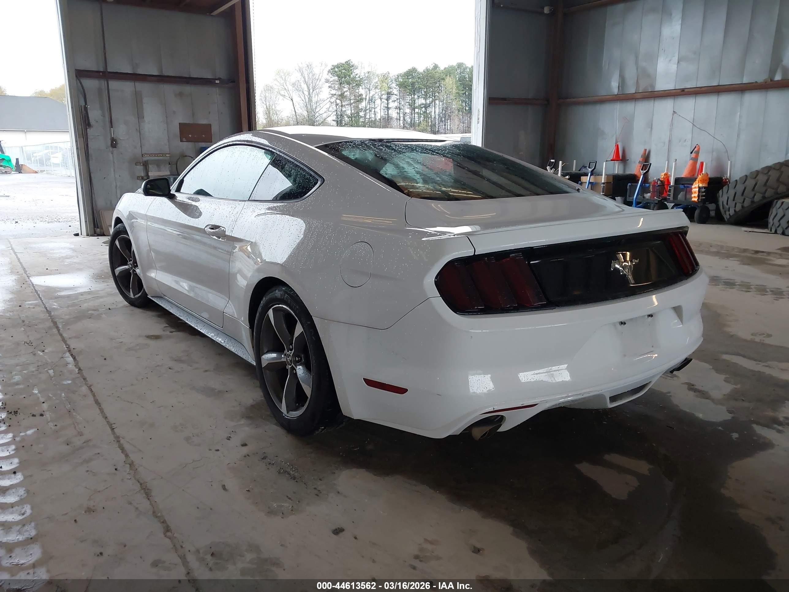 FORD MUSTANG image 3