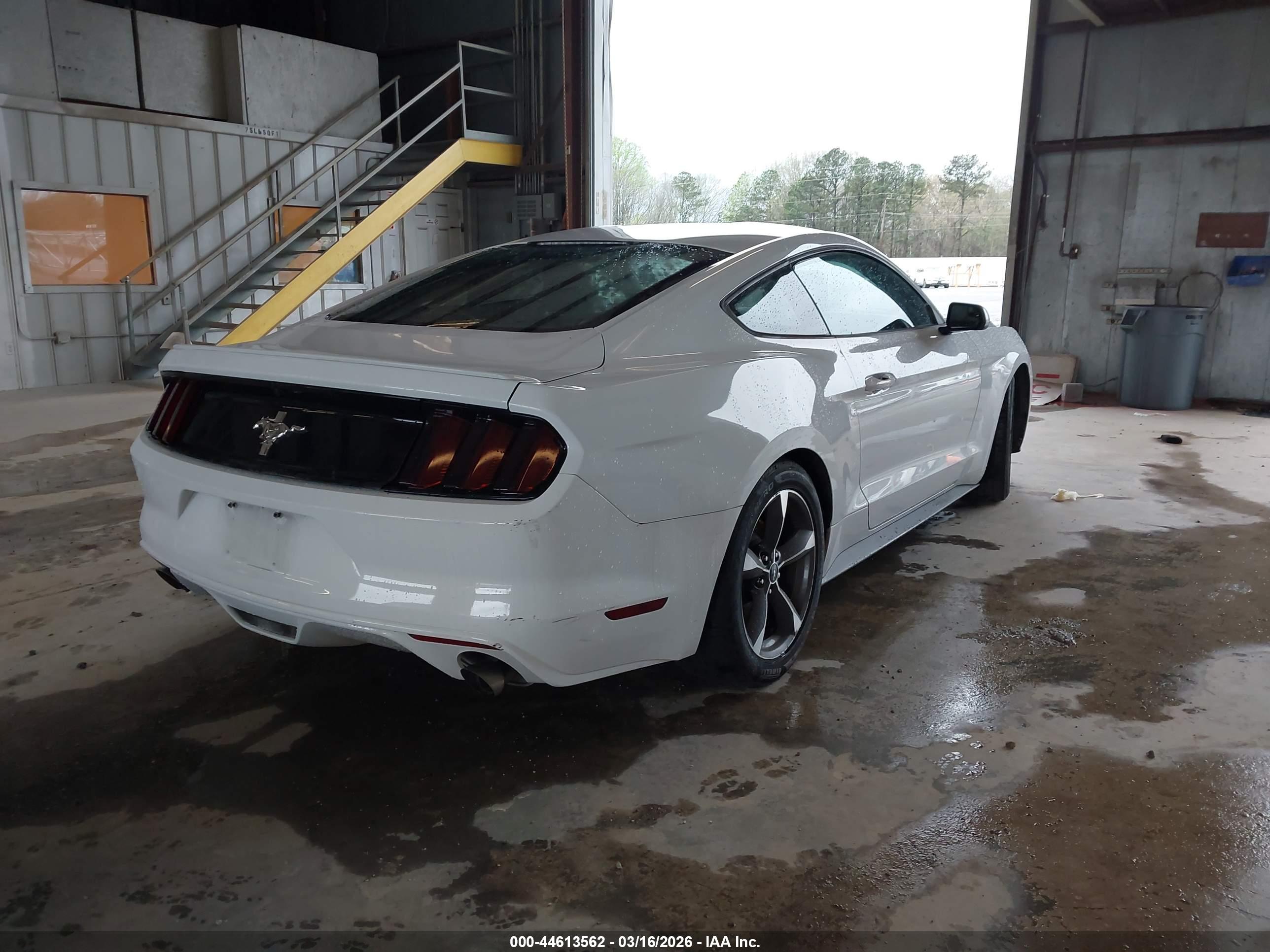 FORD MUSTANG image 4