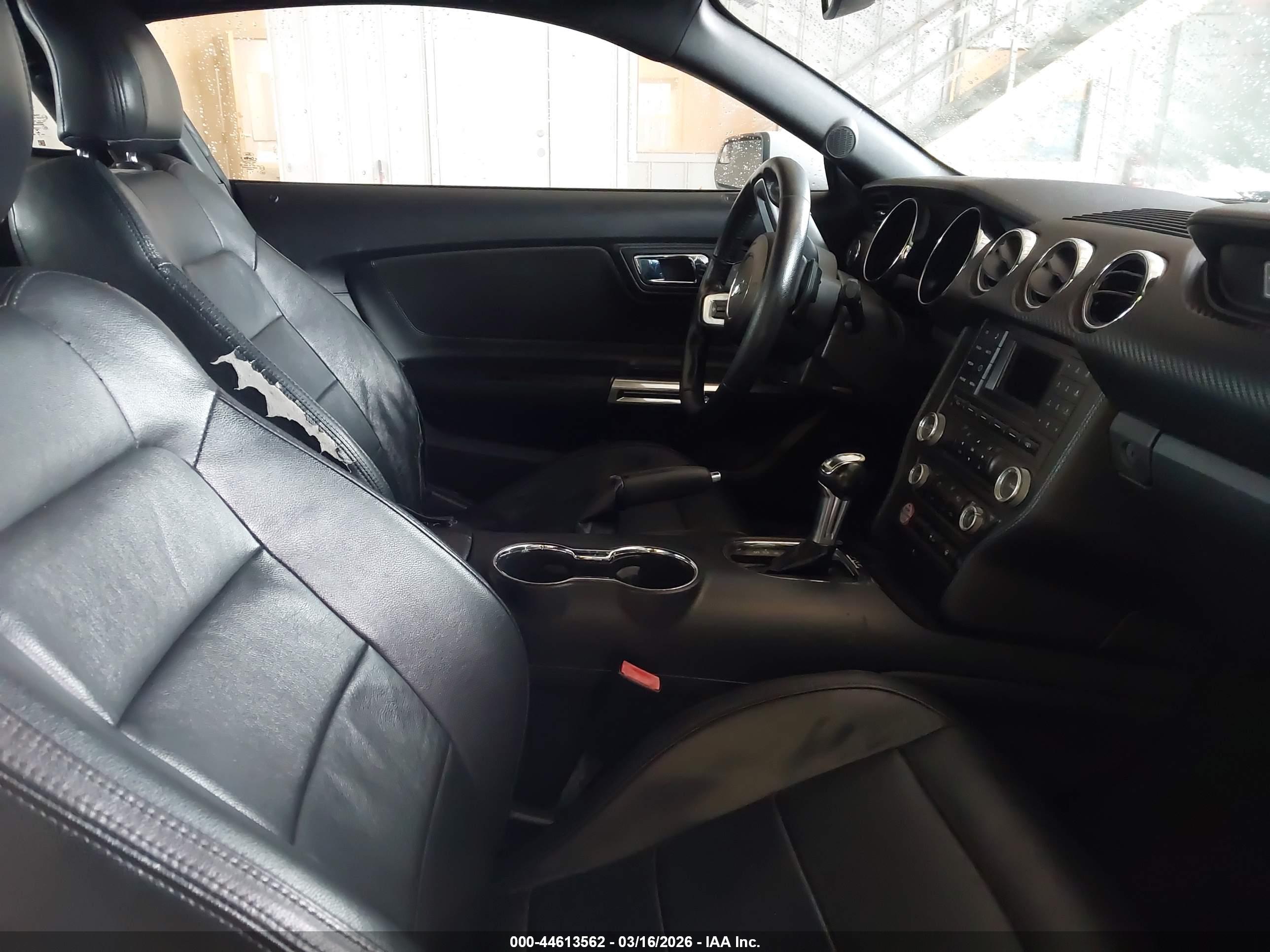 FORD MUSTANG image 5