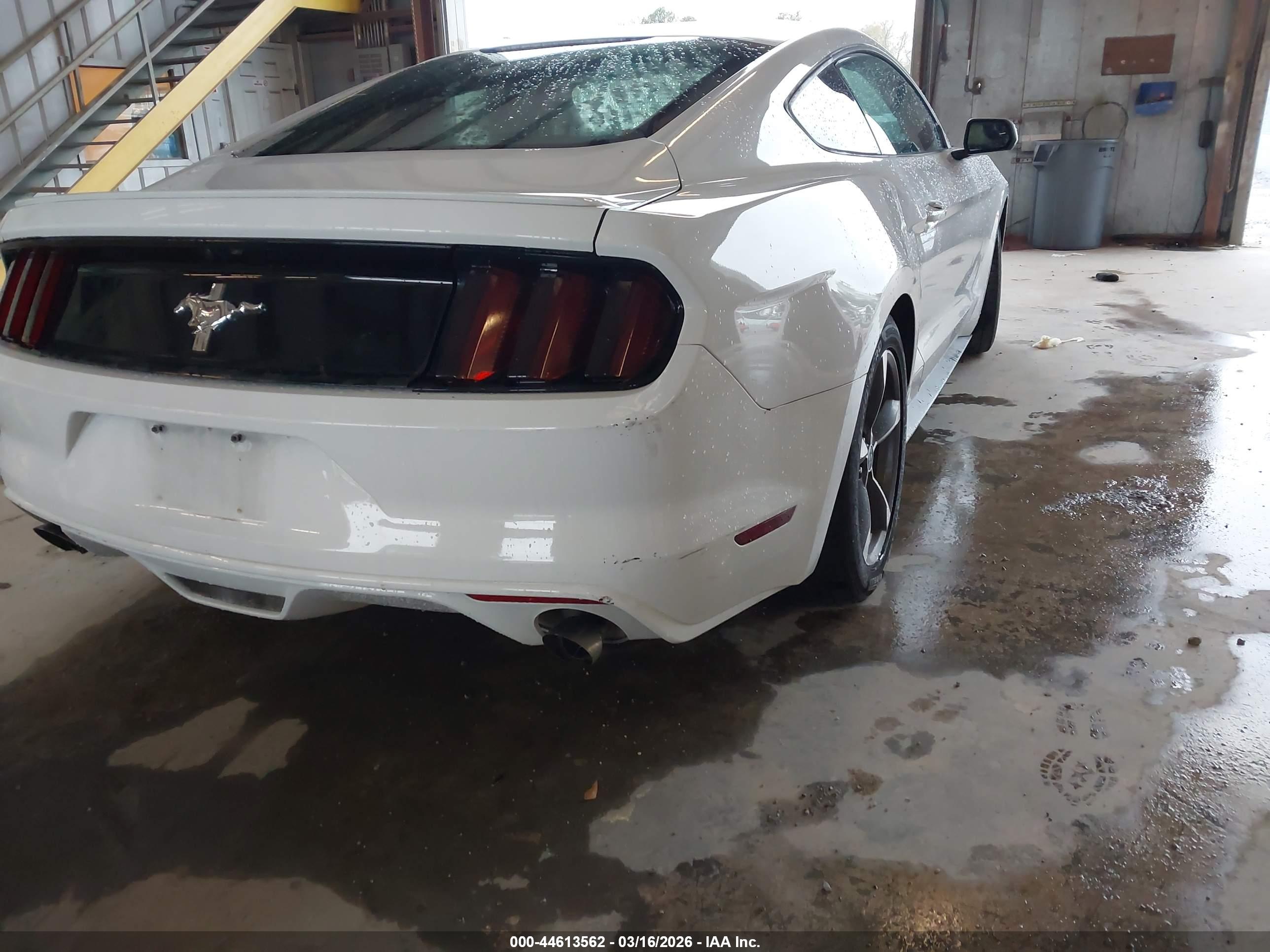 FORD MUSTANG image 6