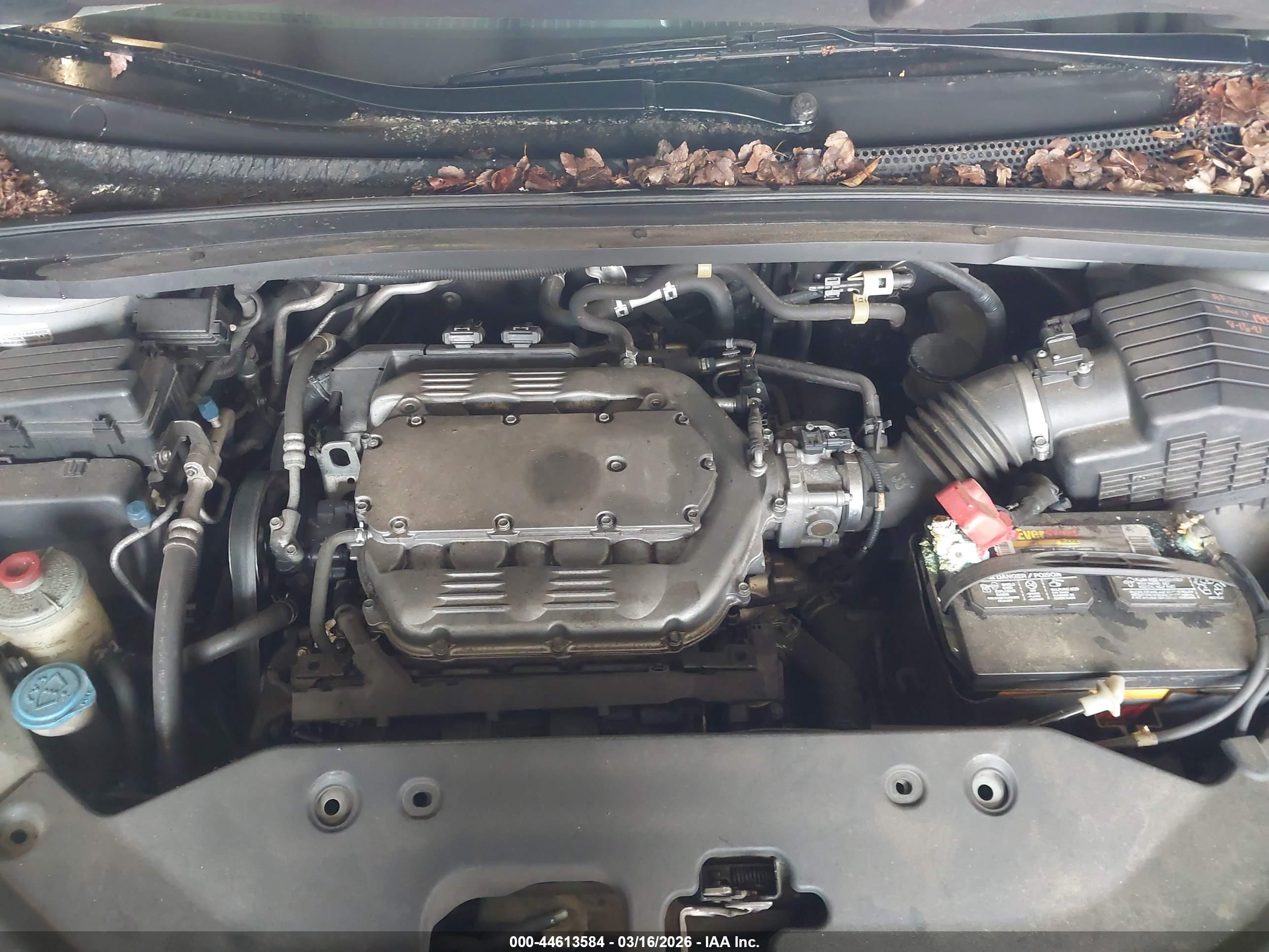 HONDA ODYSSEY image 10