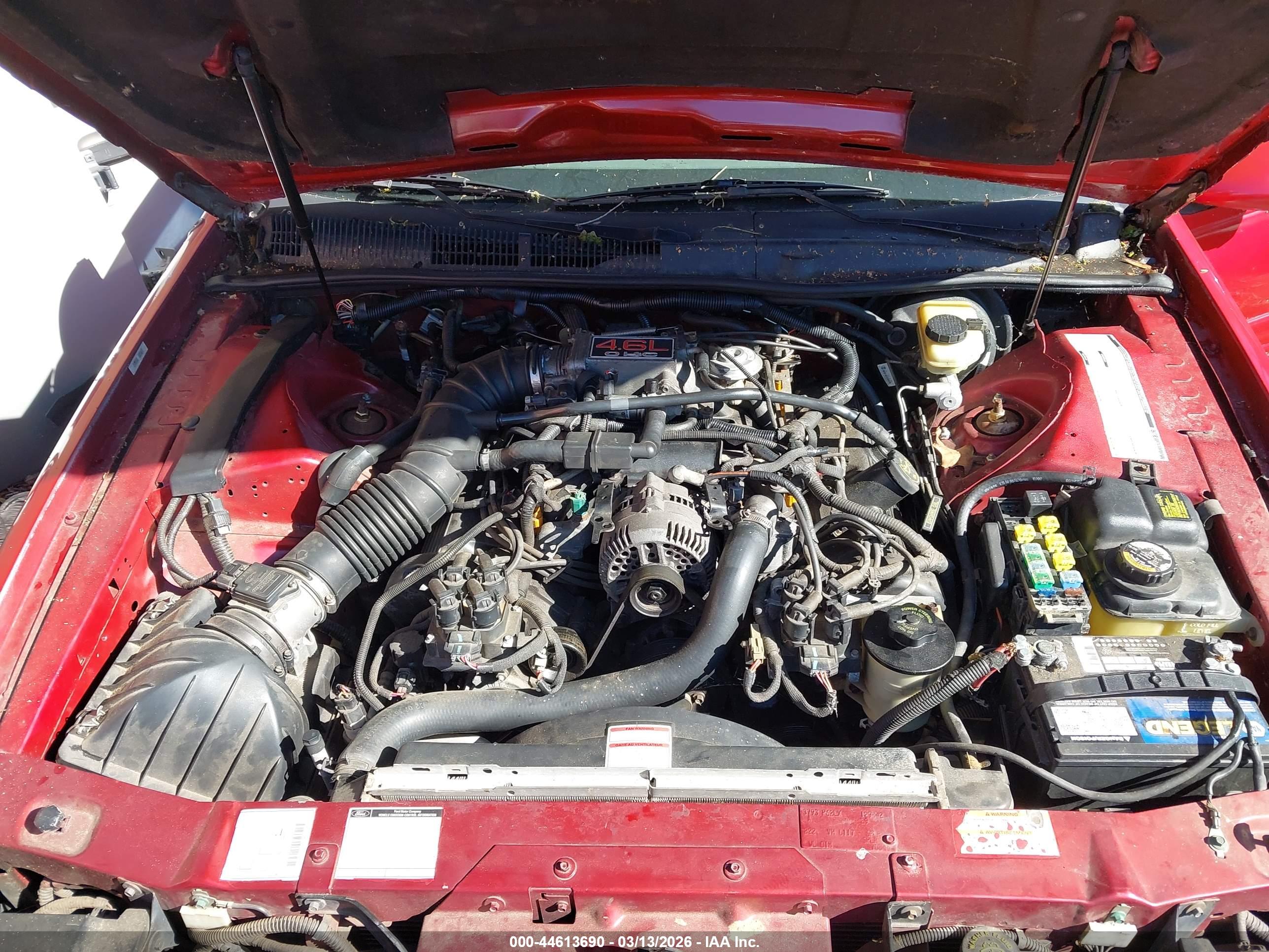 FORD THUNDERBIRD image 10