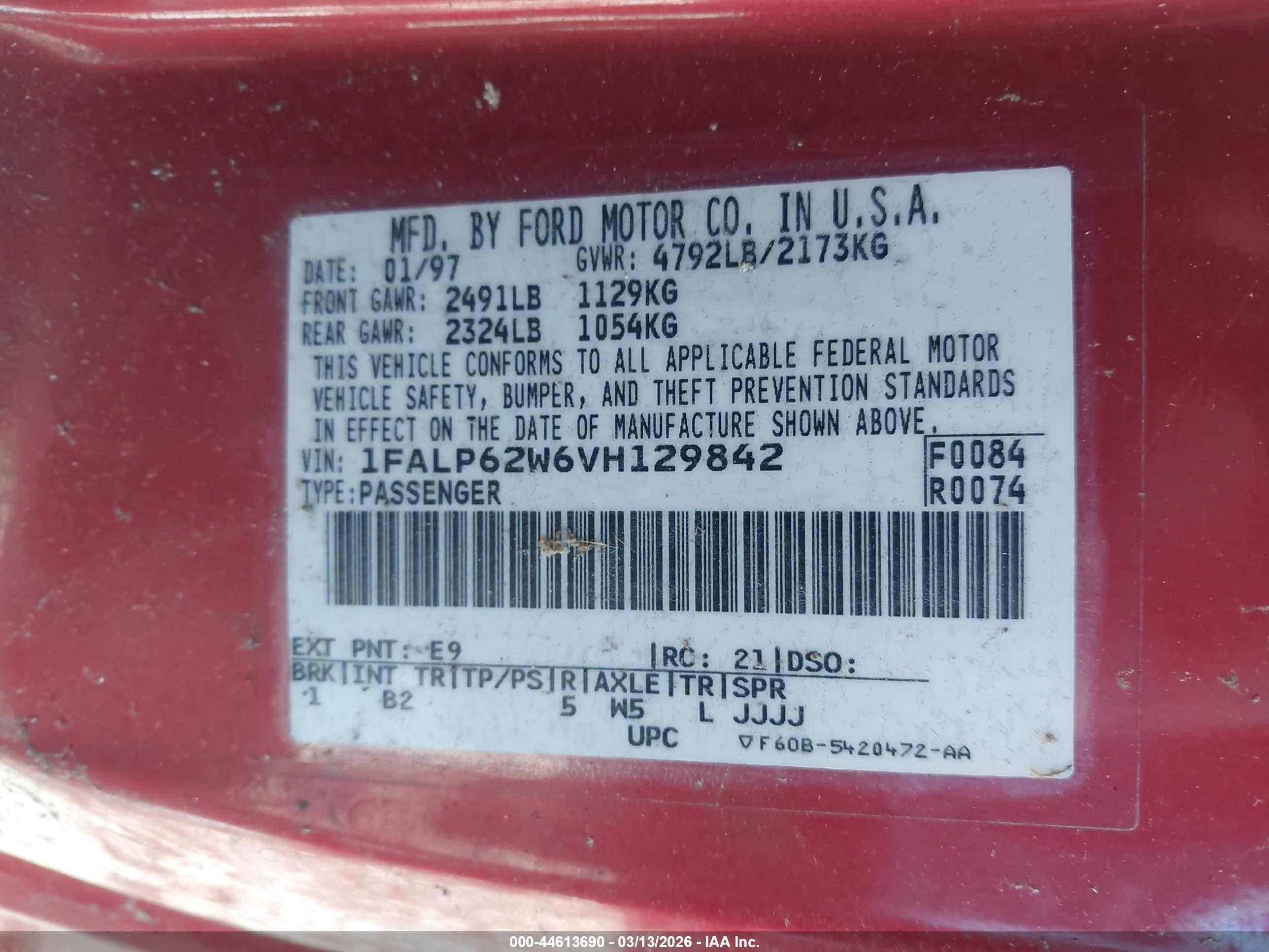 FORD THUNDERBIRD image 6