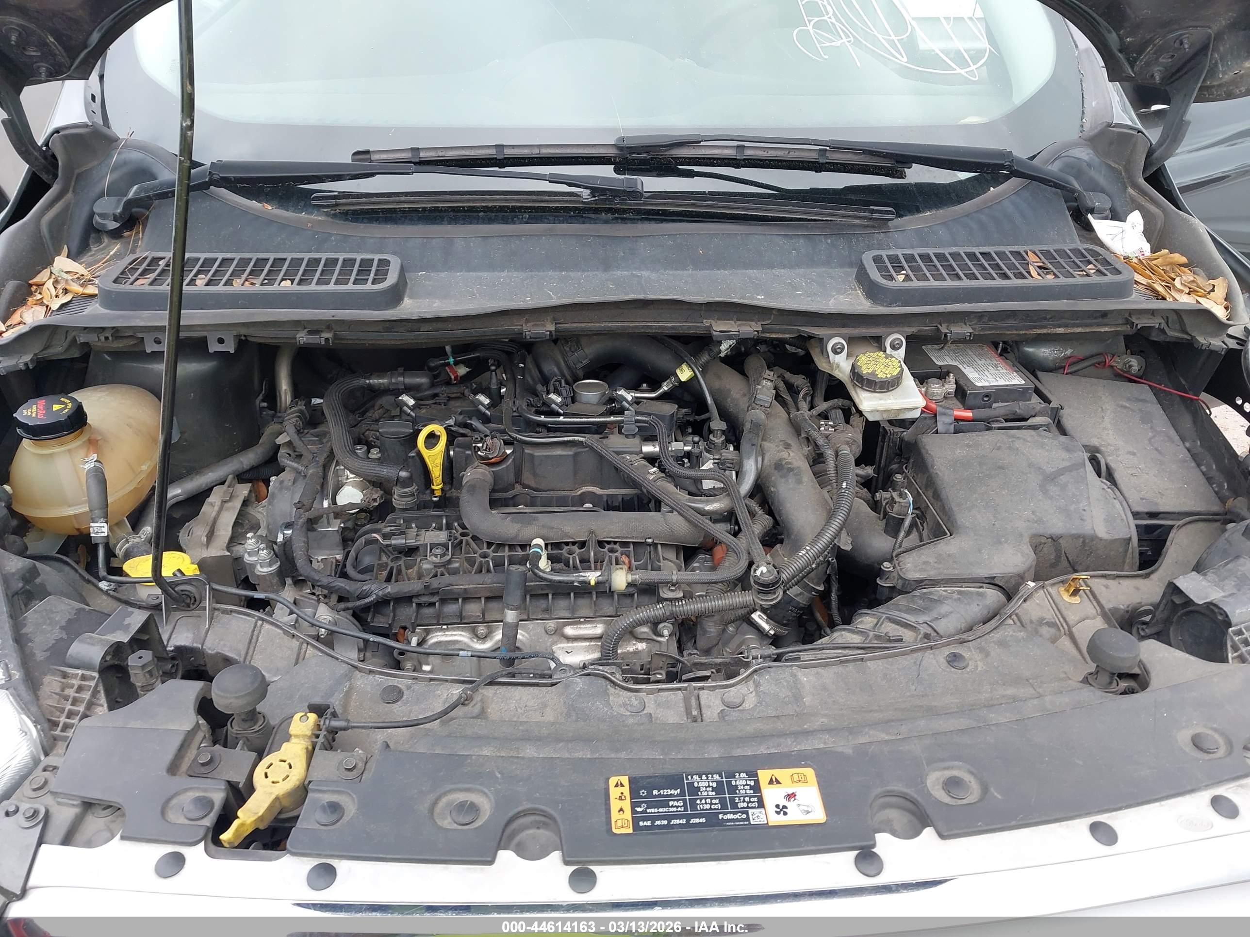 FORD ESCAPE image 10