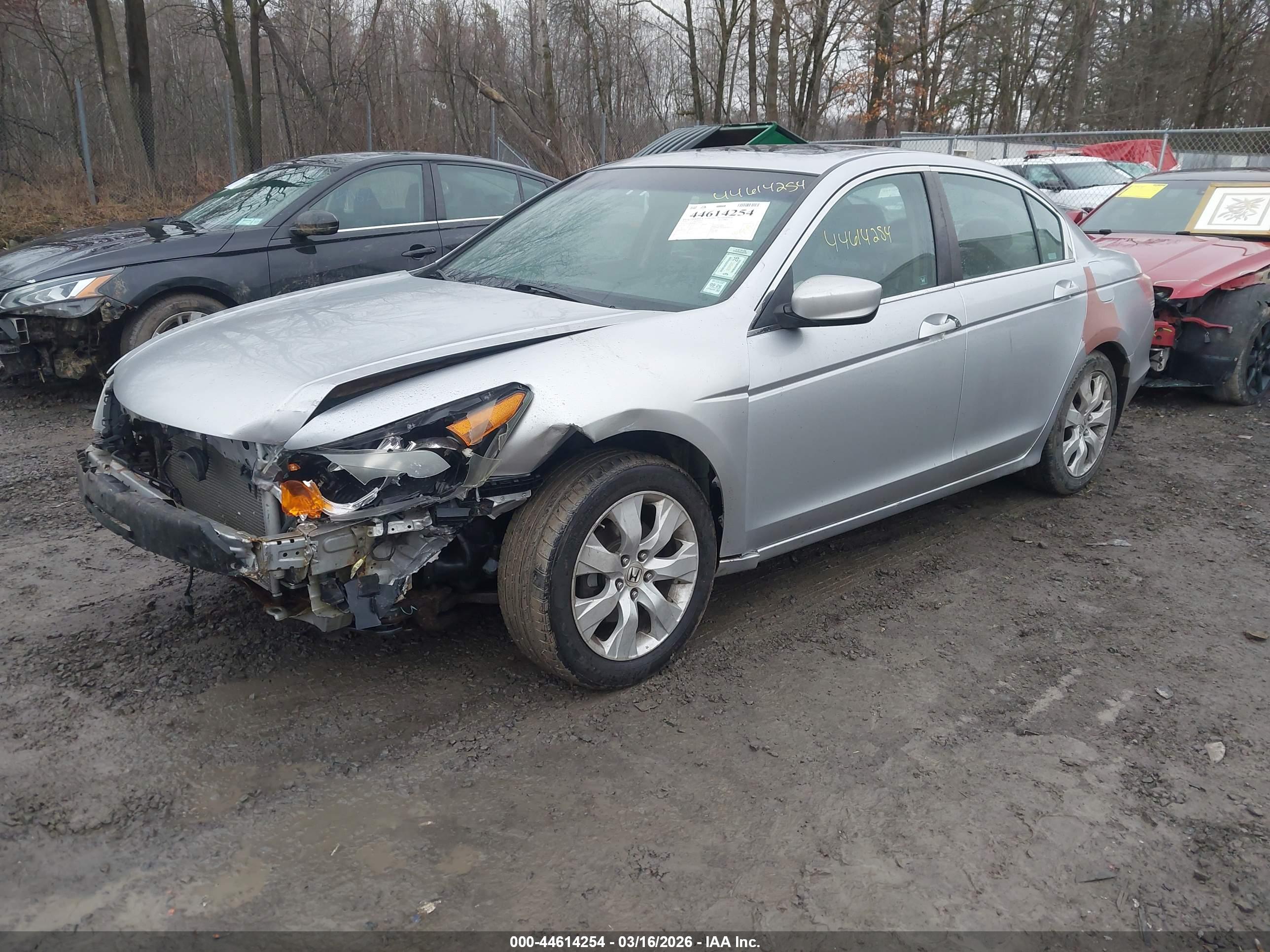 HONDA ACCORD image 2