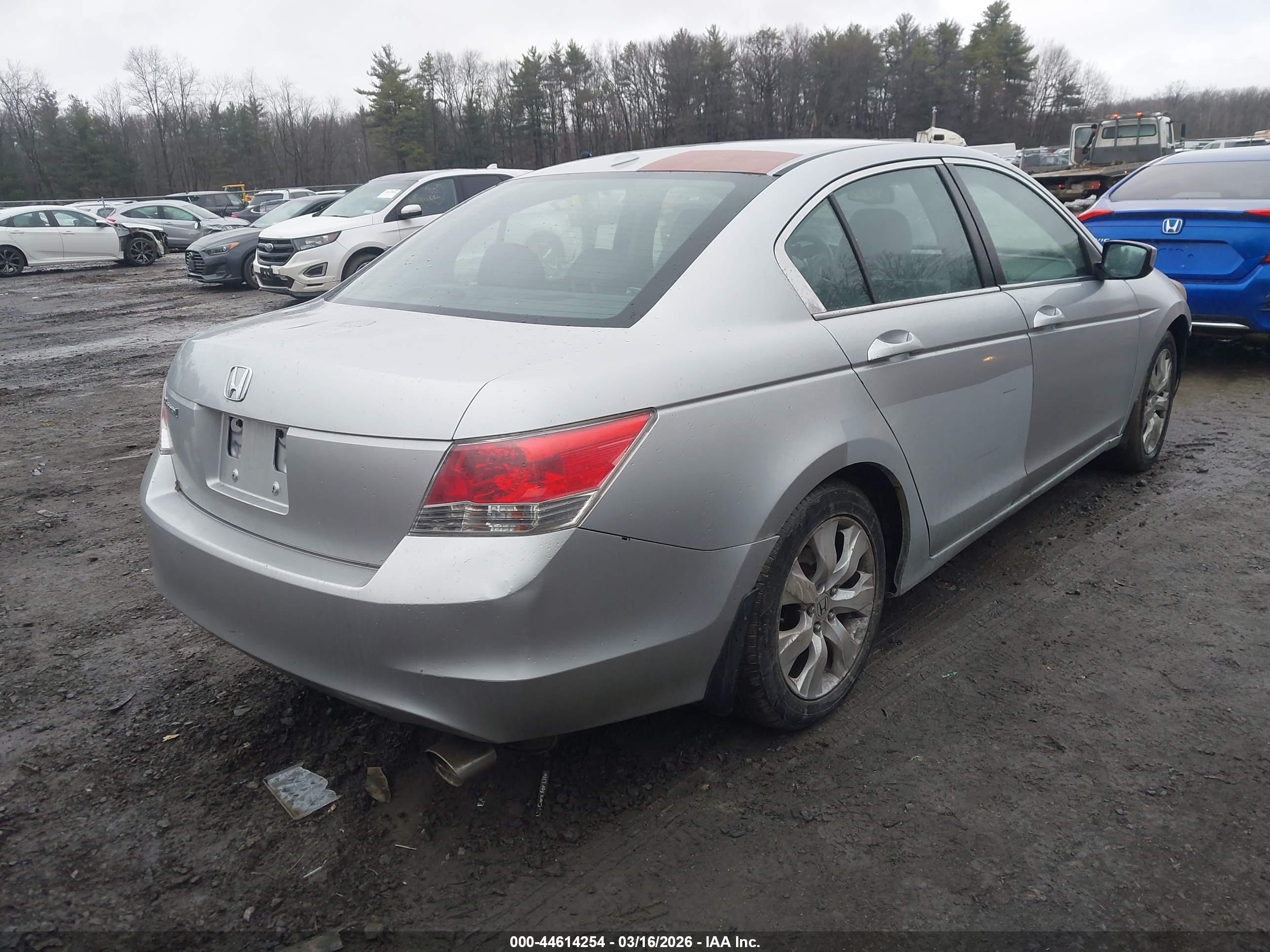 HONDA ACCORD image 4