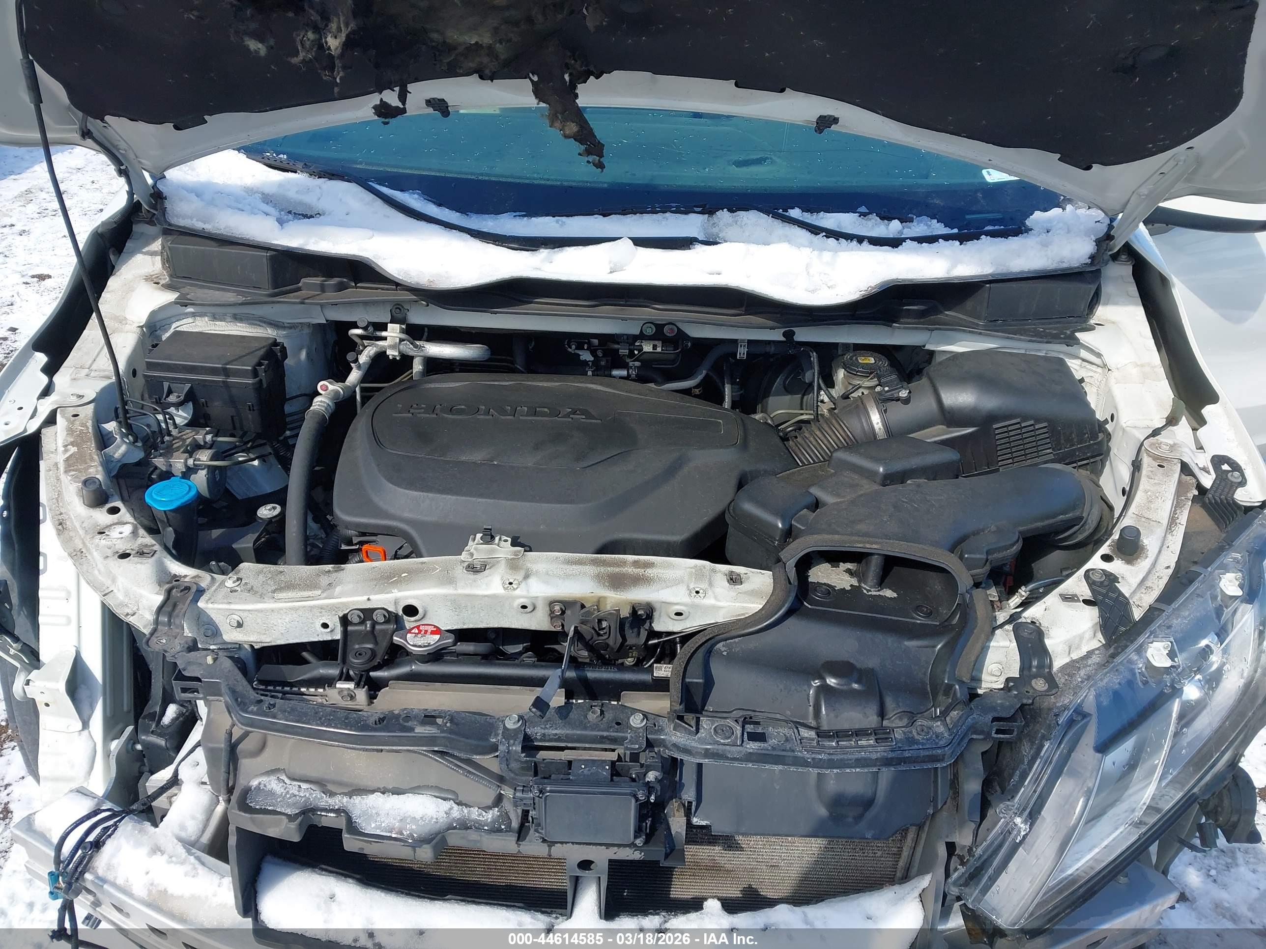 HONDA ODYSSEY image 10