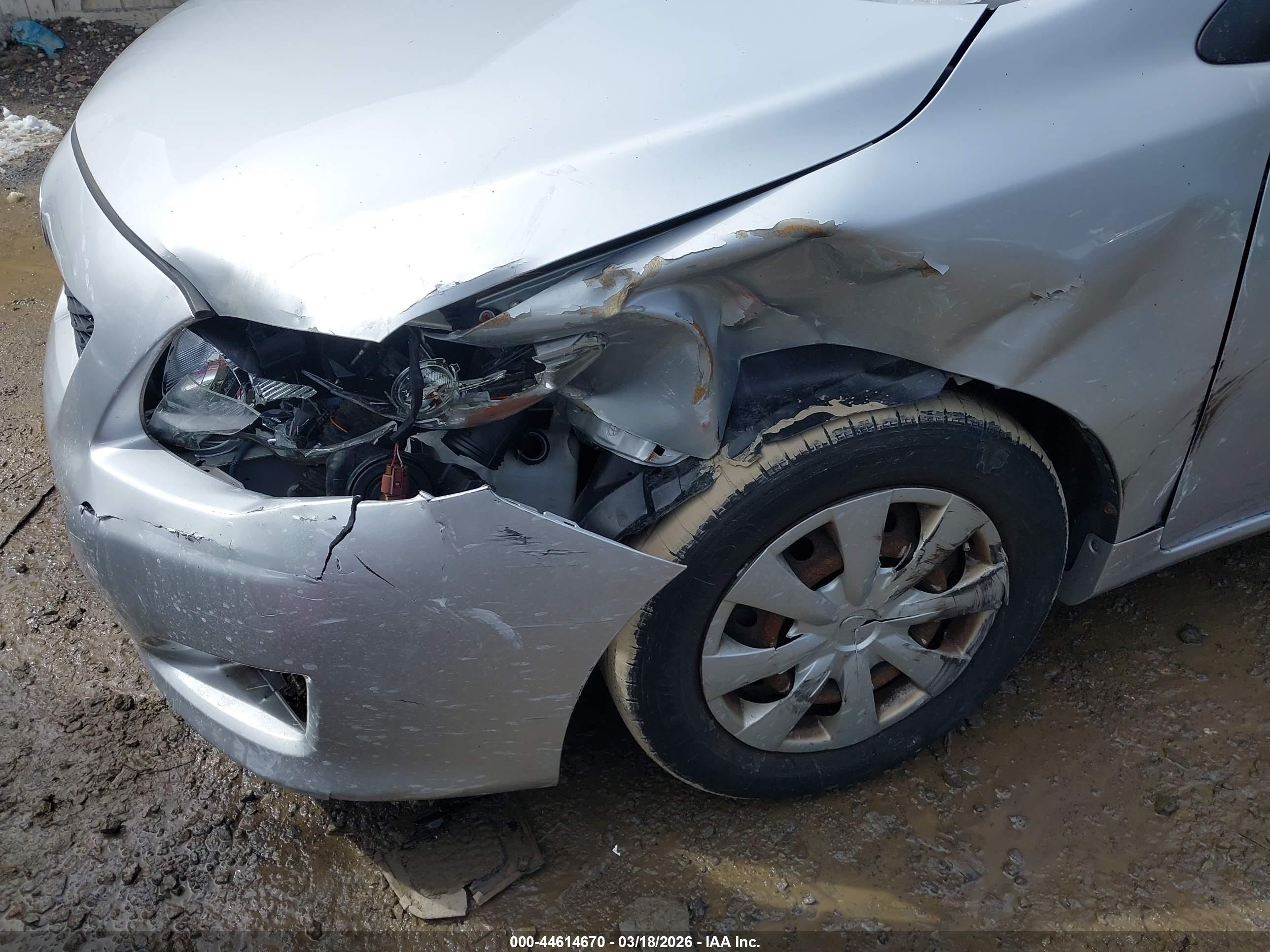 TOYOTA COROLLA image 6