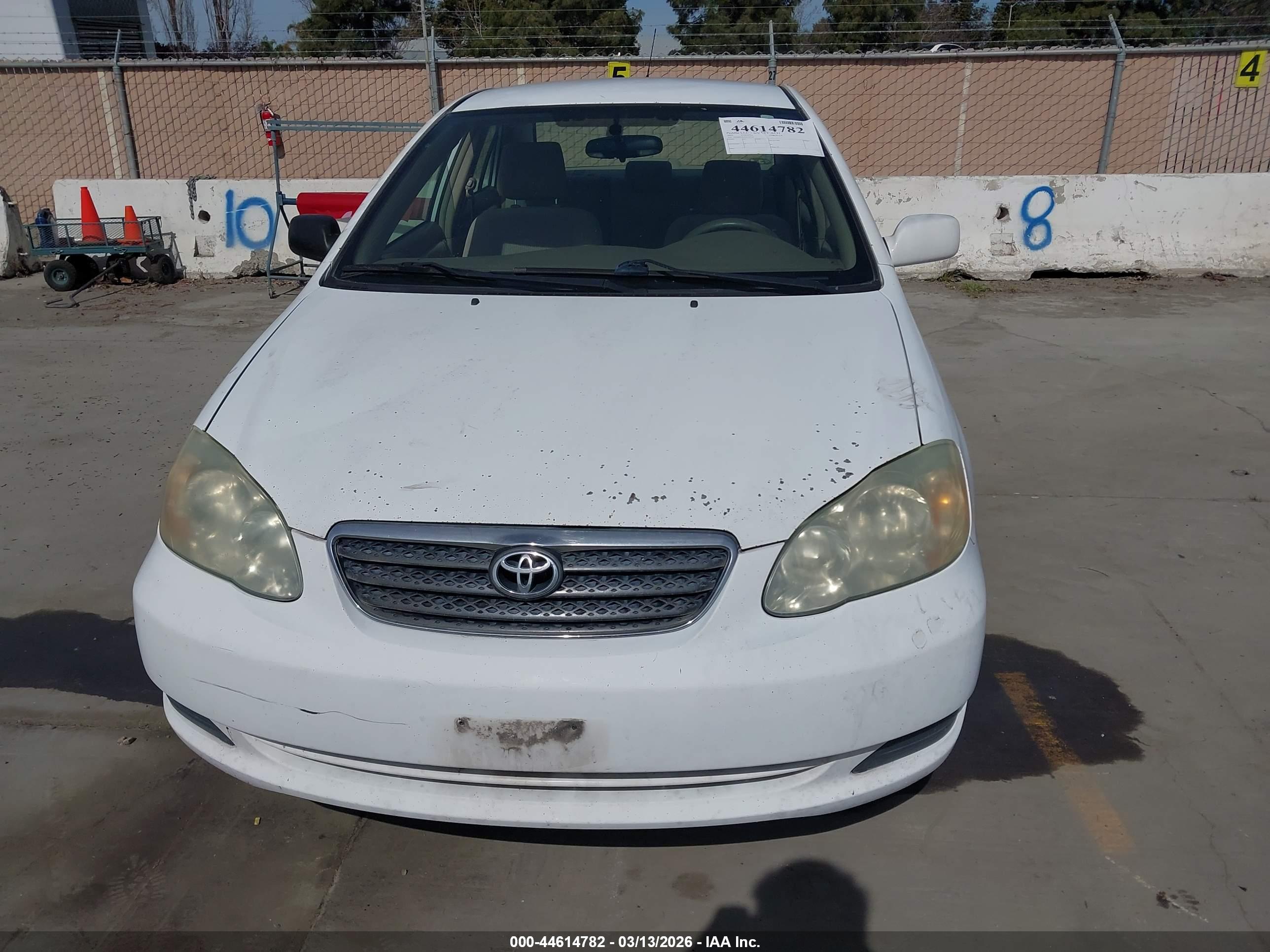 TOYOTA COROLLA image 6