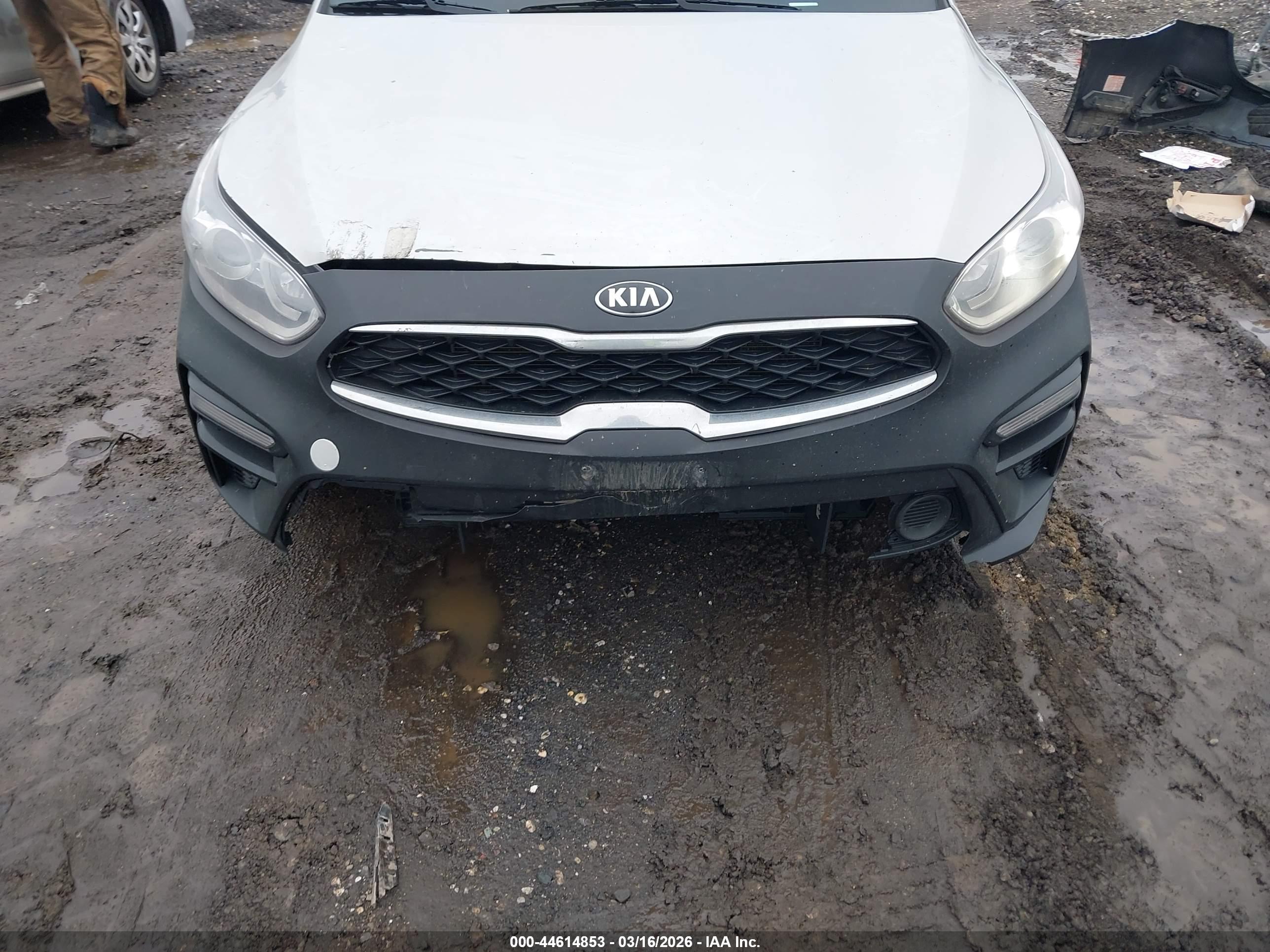 KIA FORTE image 6