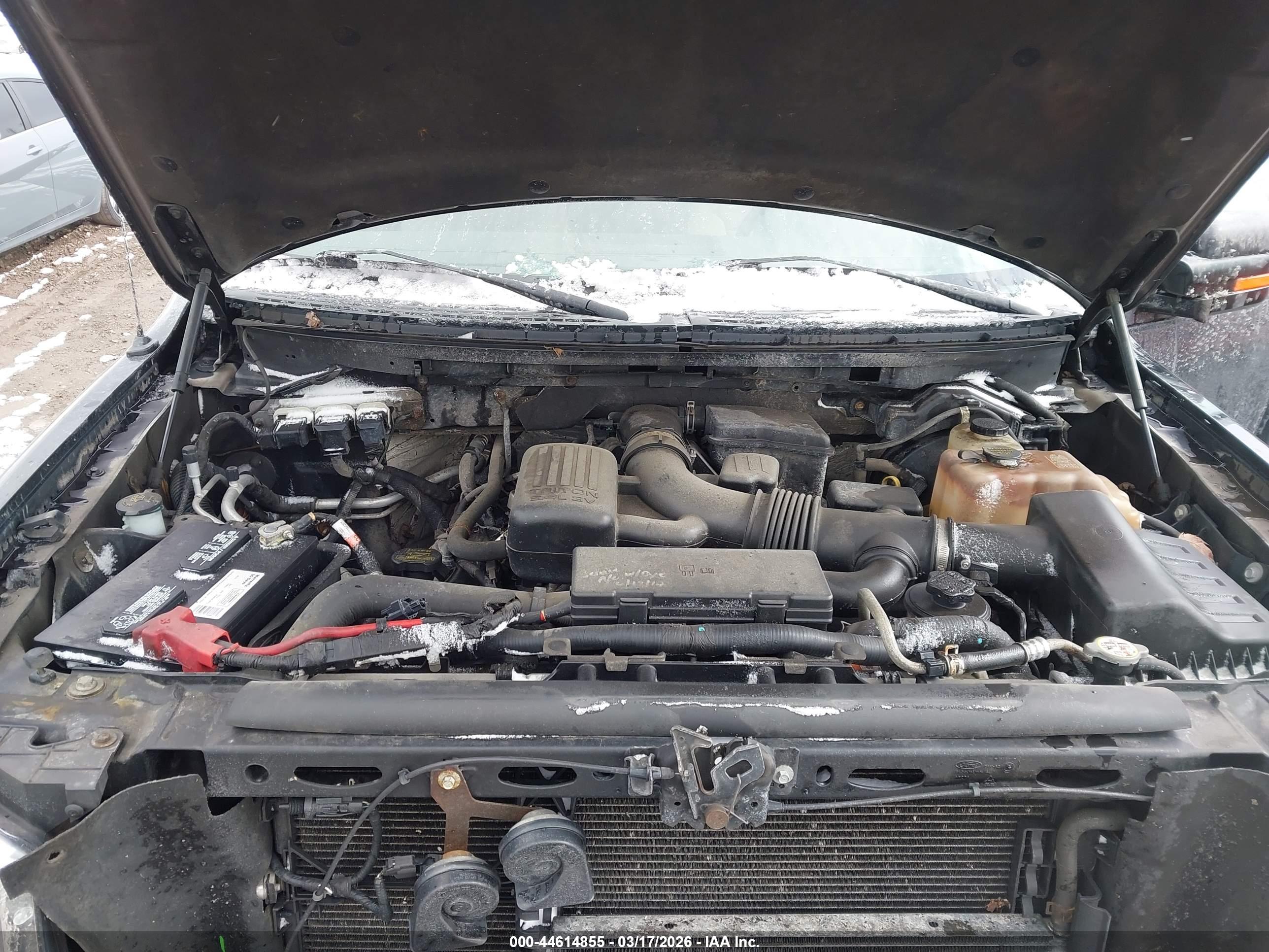 FORD F-150 image 10