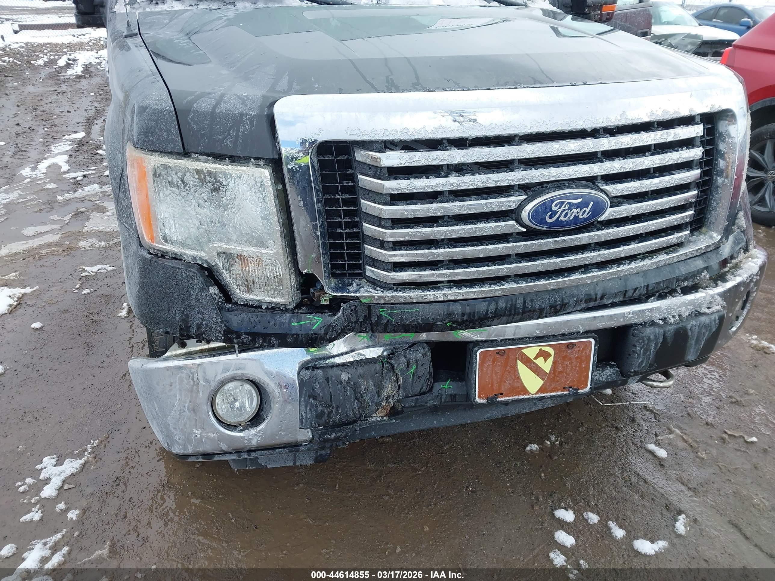 FORD F-150 image 6