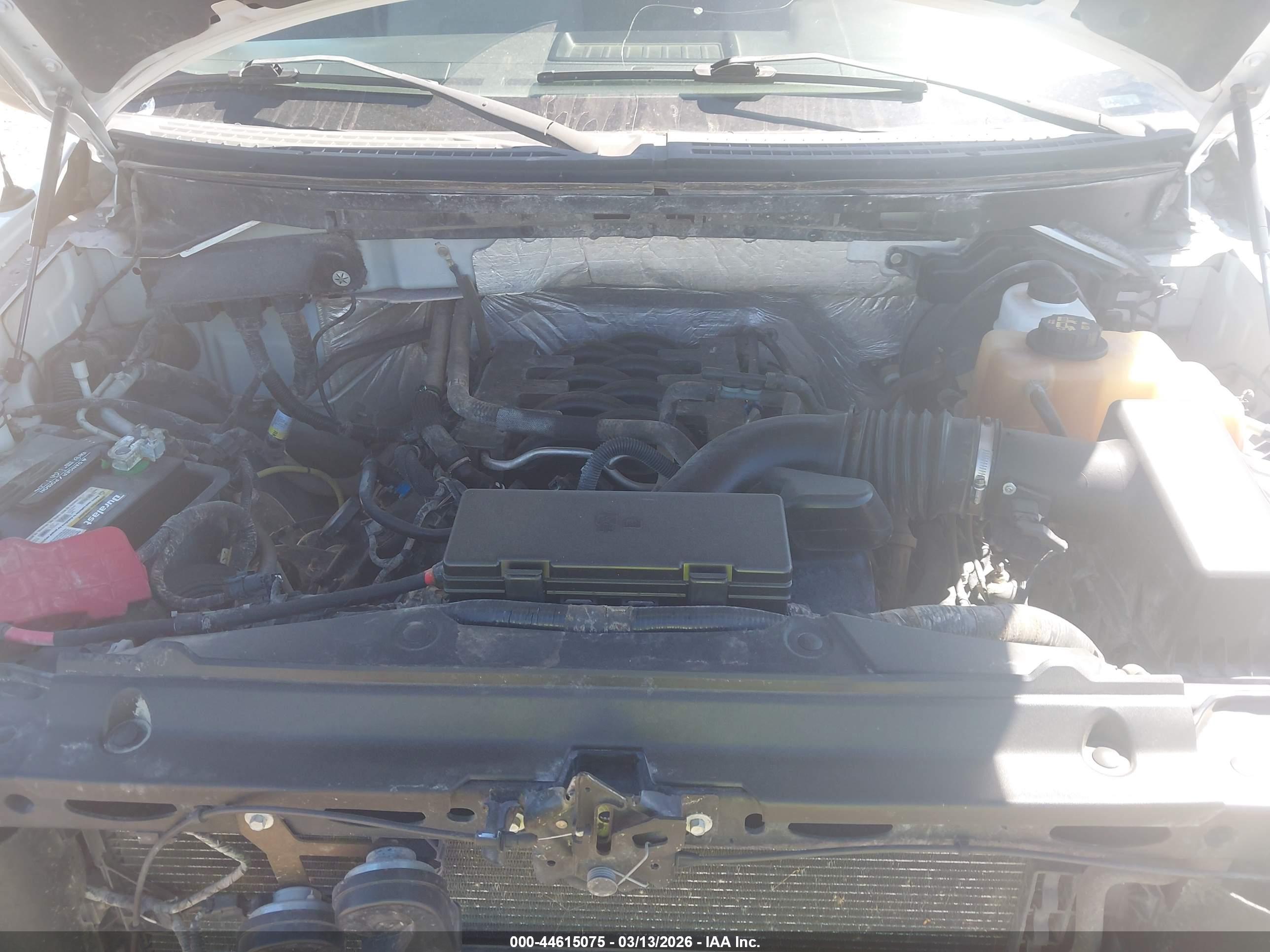 FORD F-150 image 10