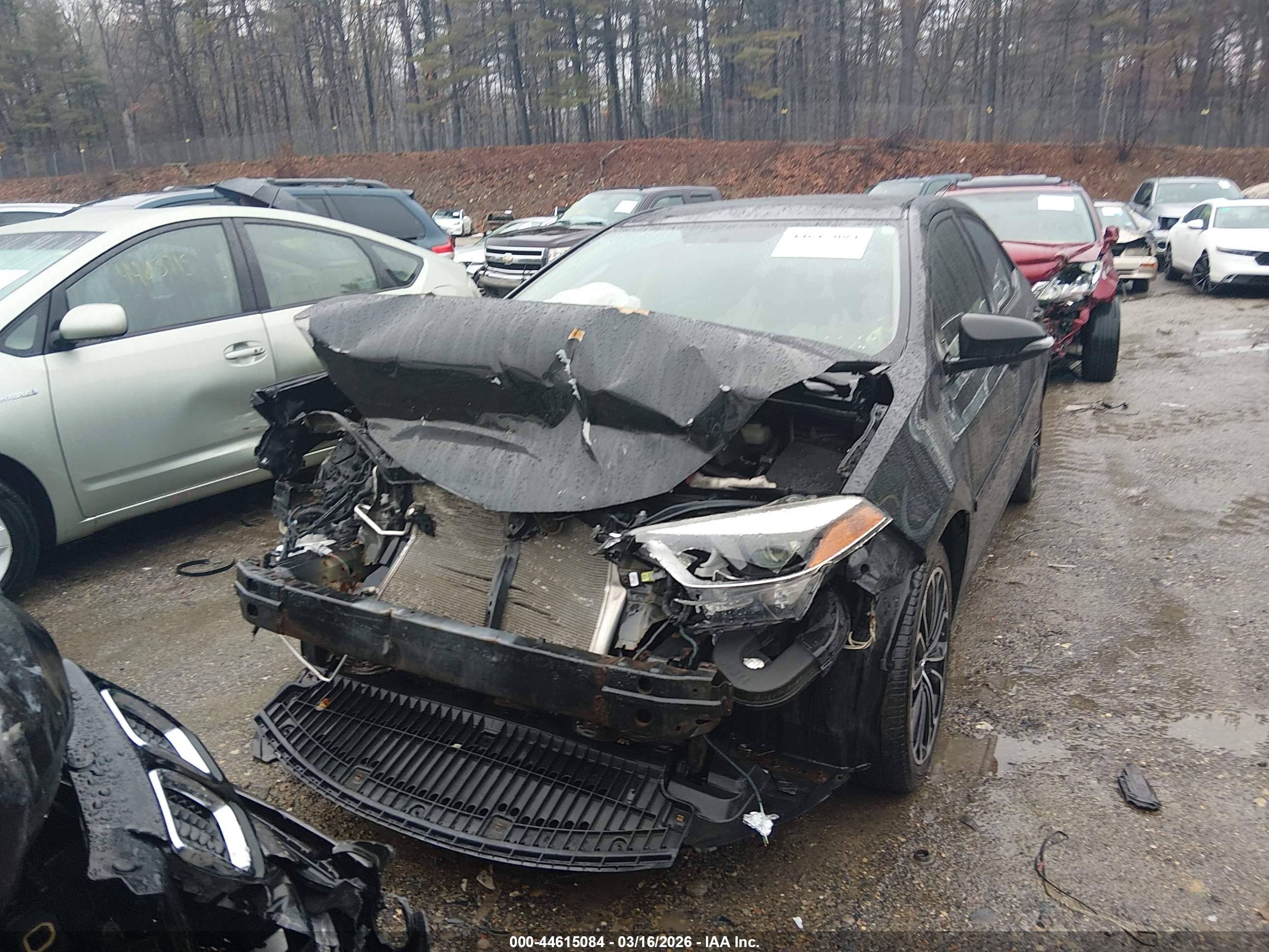 TOYOTA COROLLA image 6