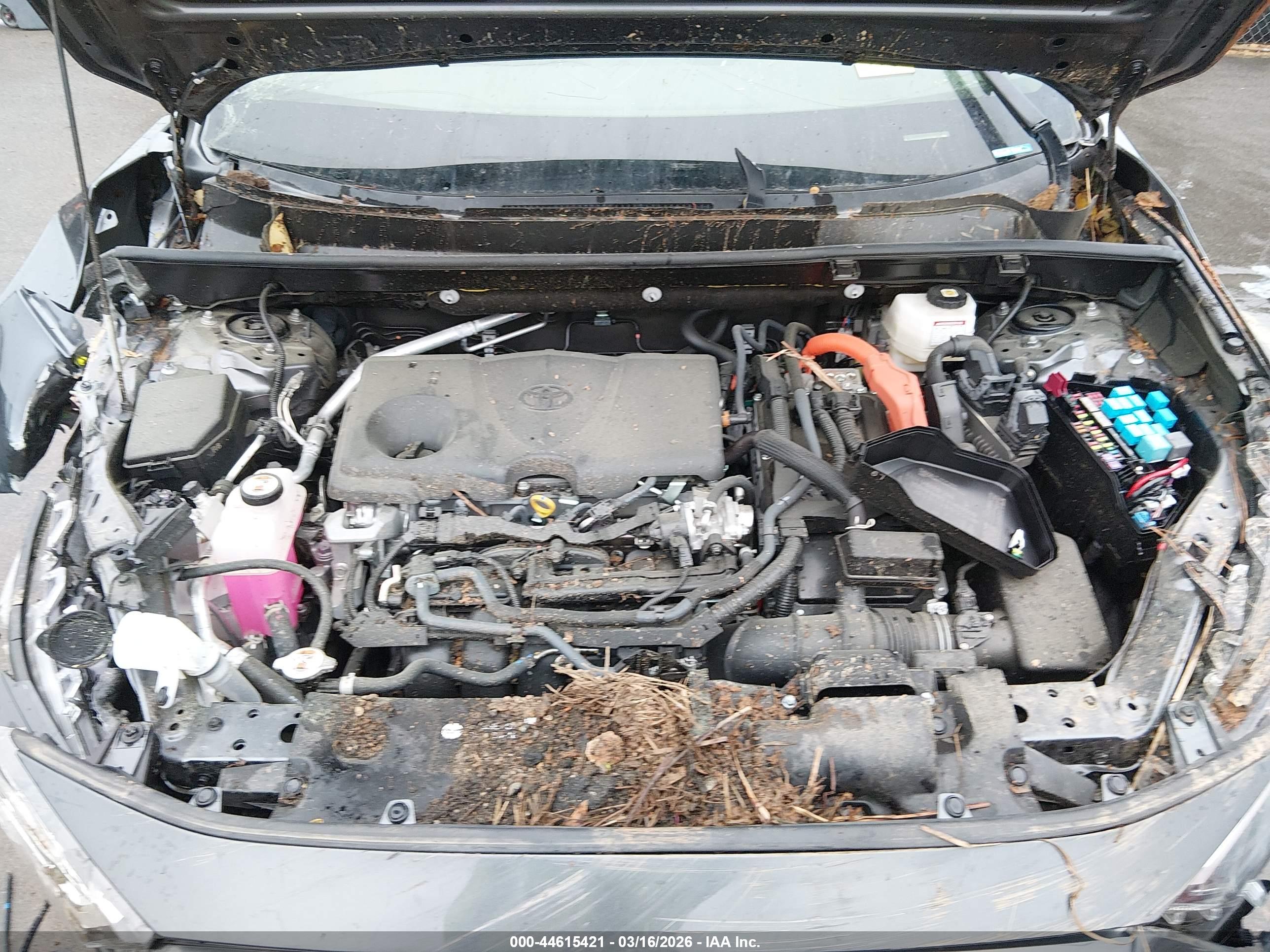TOYOTA RAV4 image 10