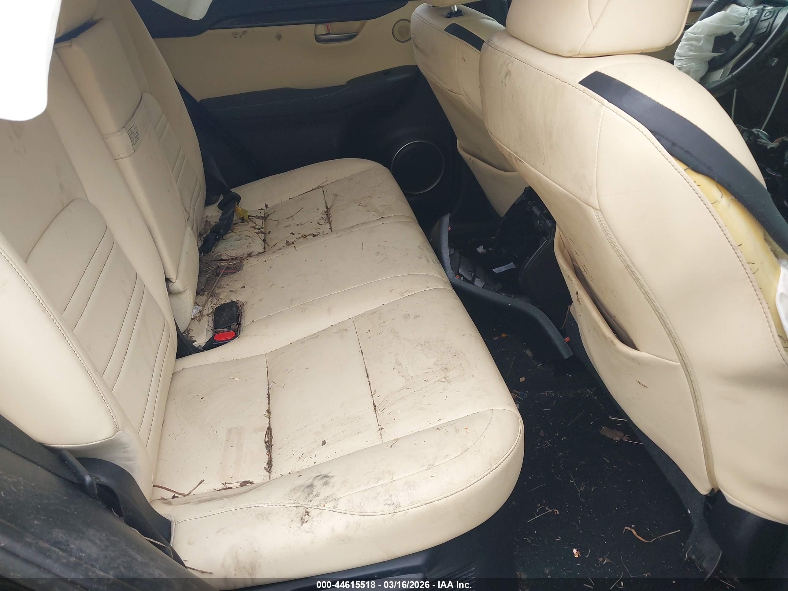 LEXUS NX image 8