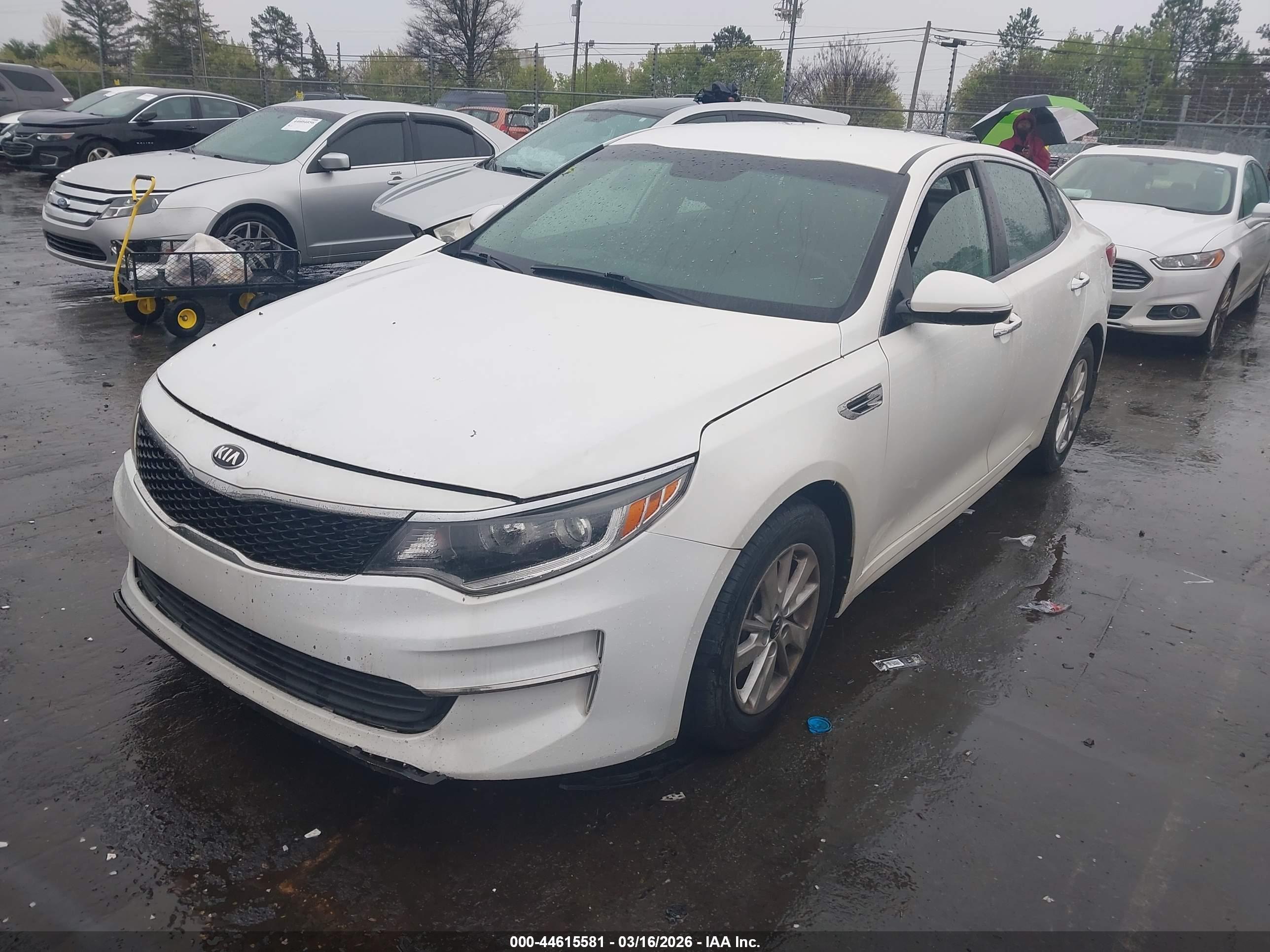 KIA OPTIMA image 2