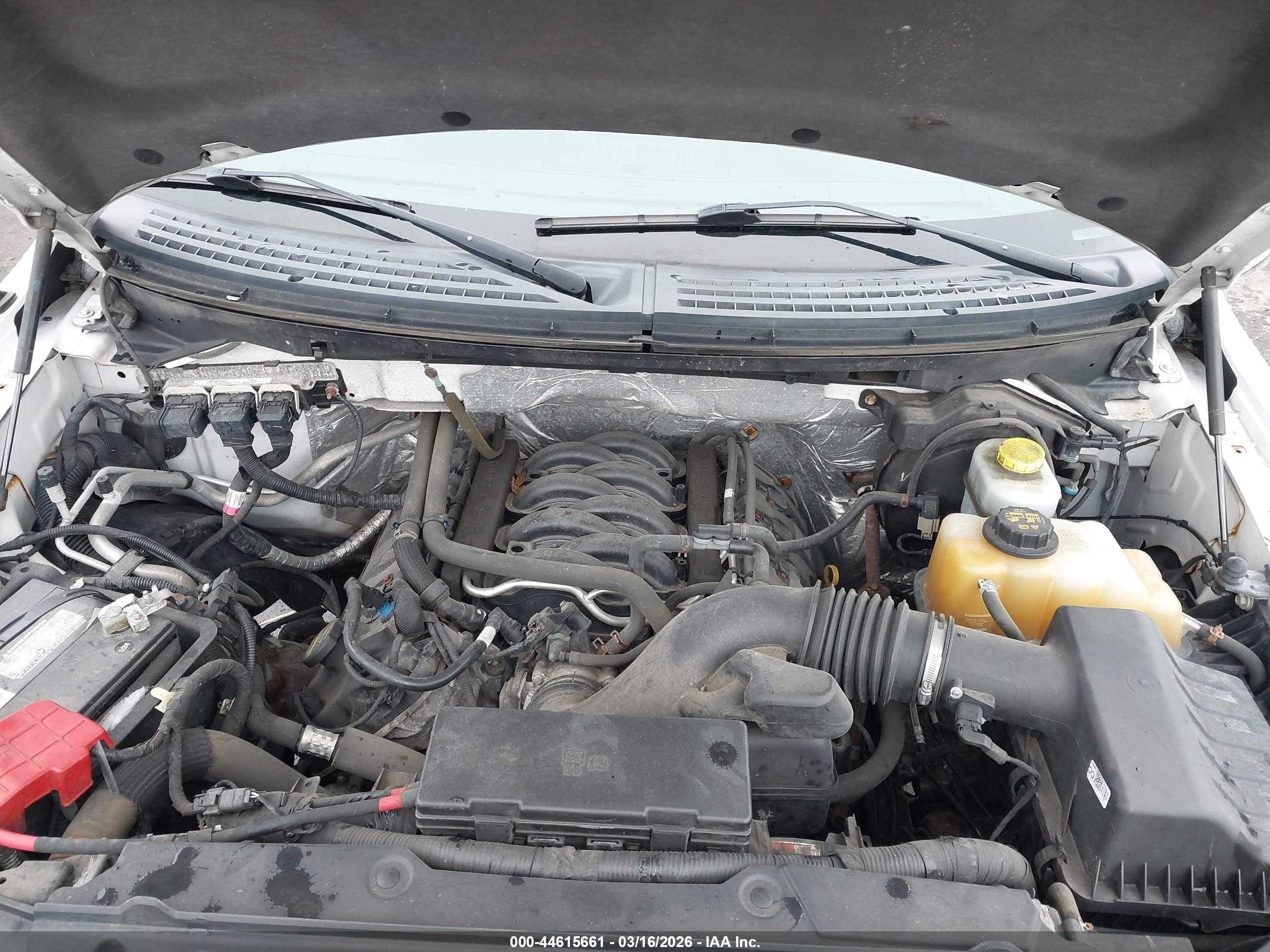 FORD F-150 image 10