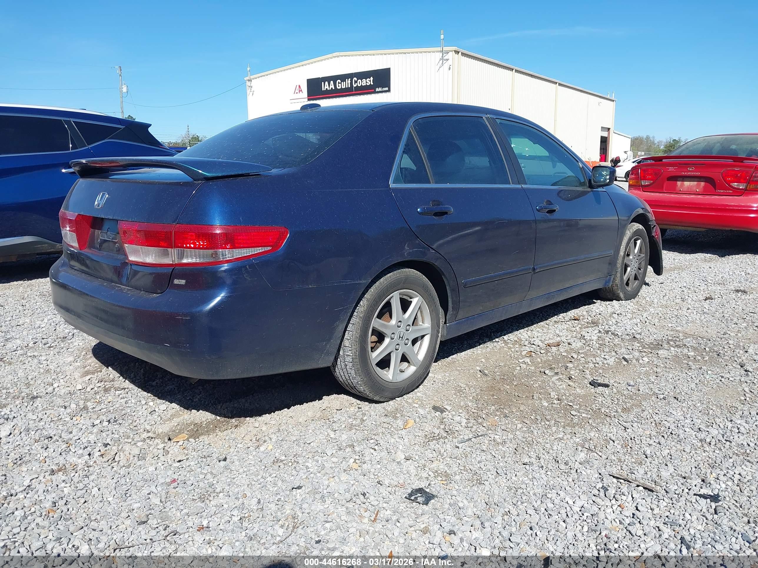 HONDA ACCORD image 4