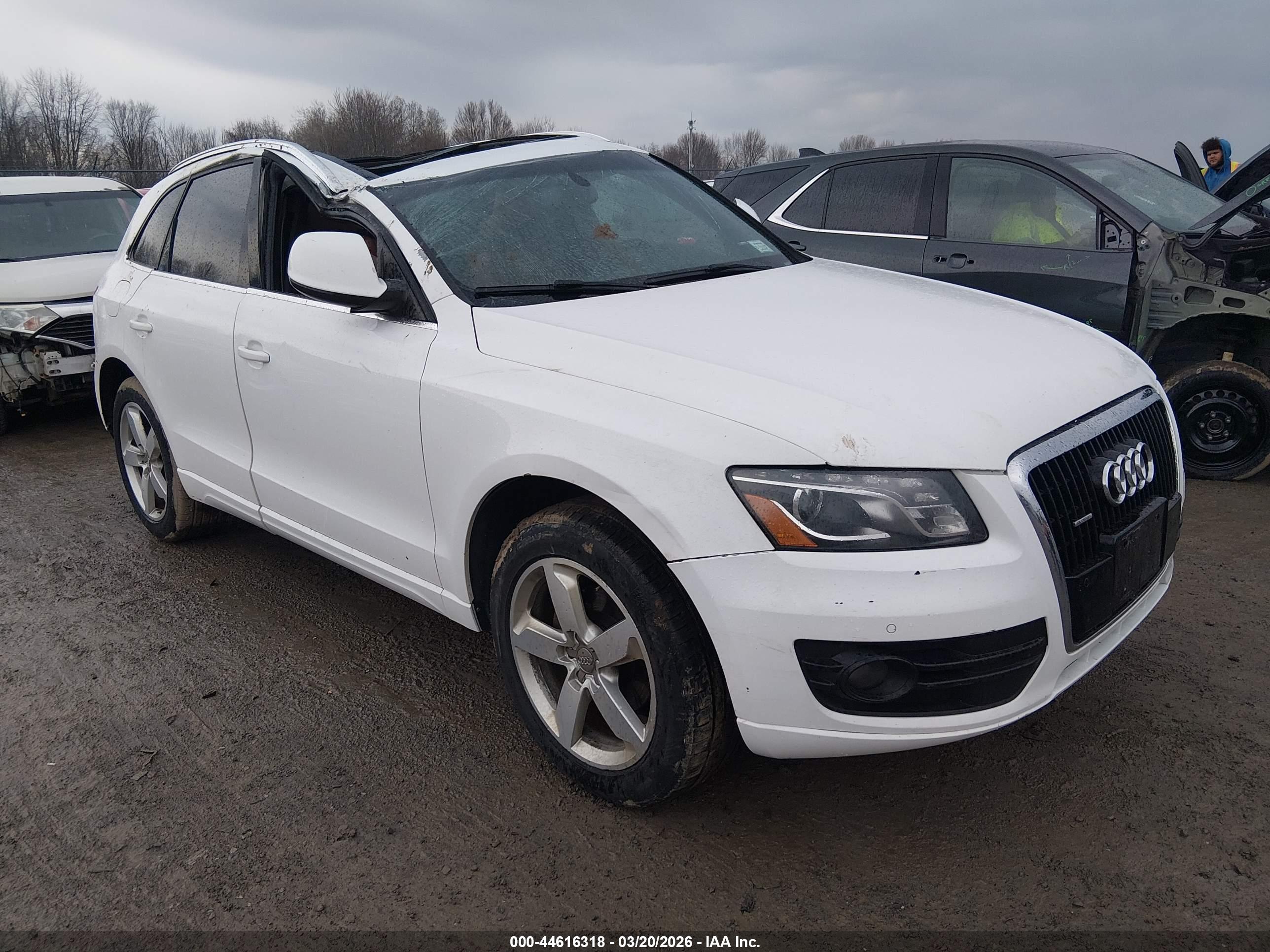 AUDI Q5 image 6