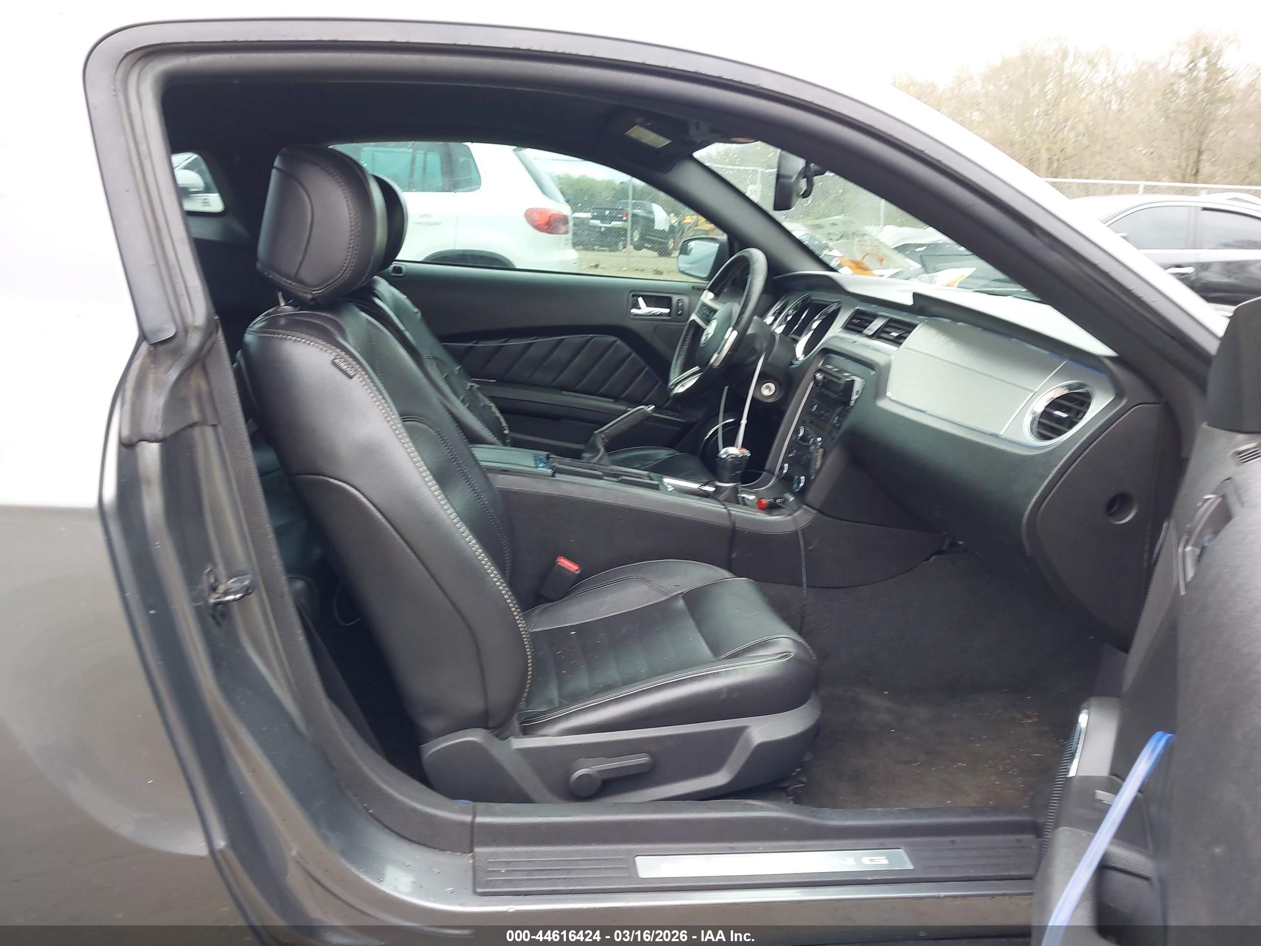FORD MUSTANG image 5
