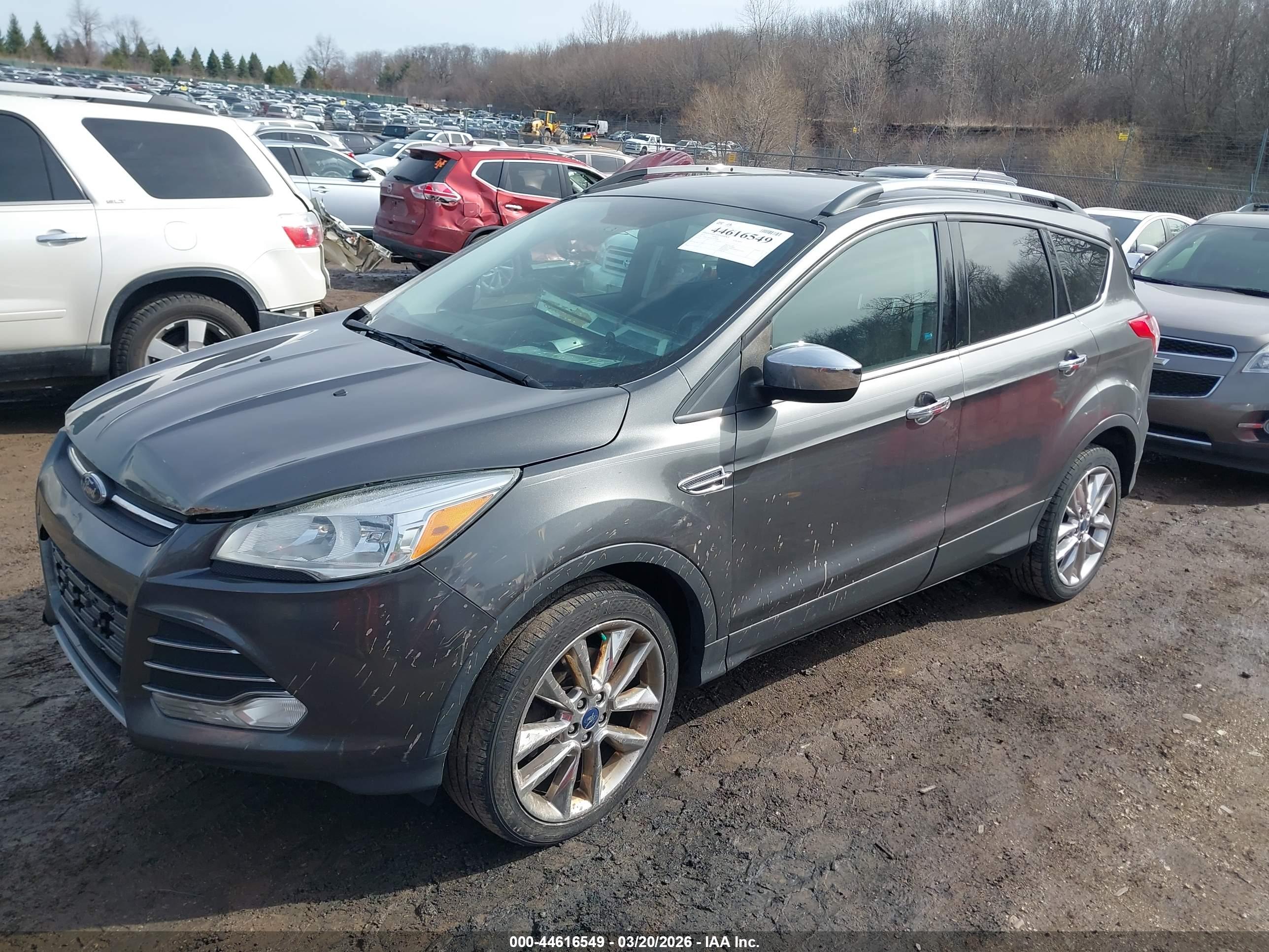 FORD ESCAPE image 2