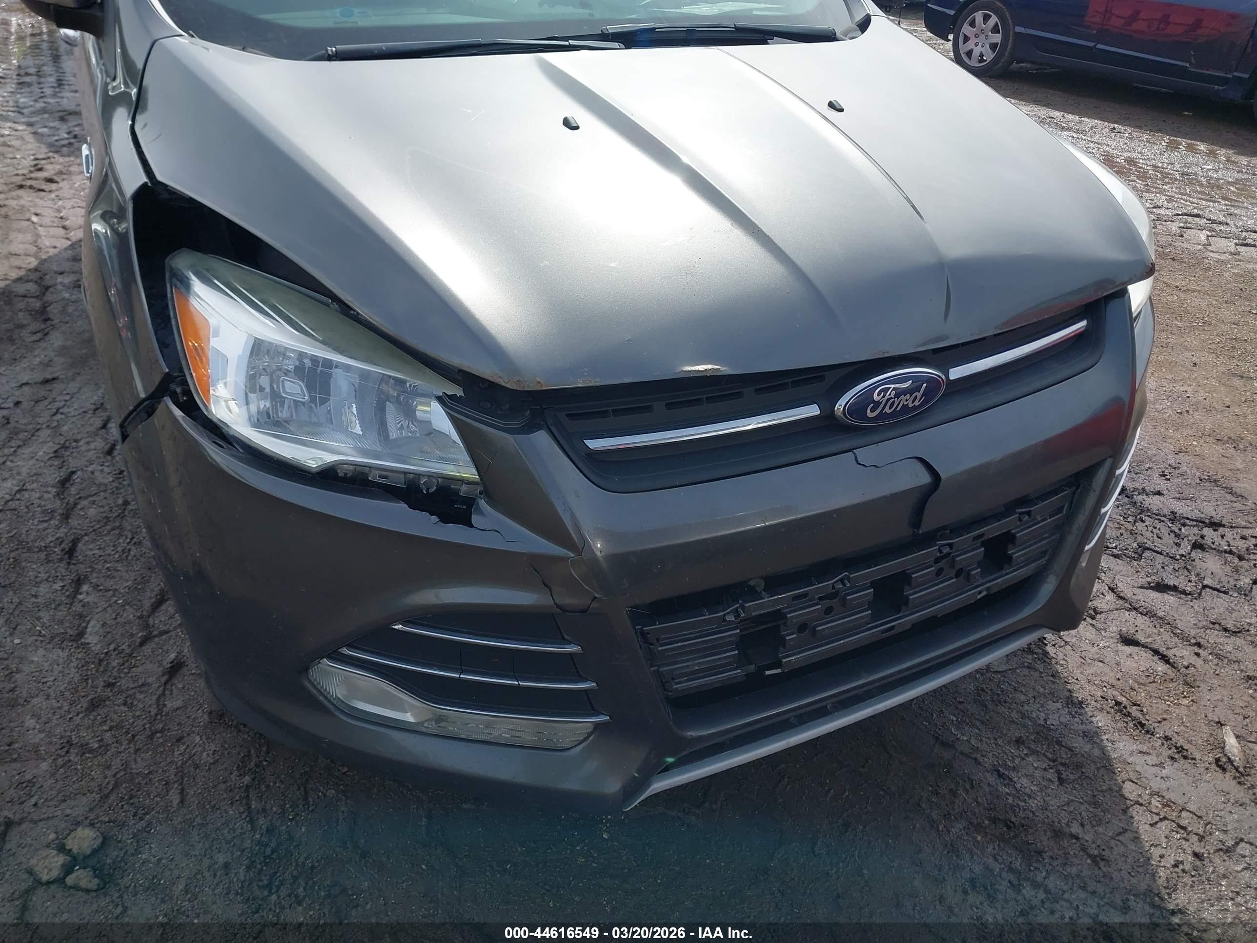 FORD ESCAPE image 6