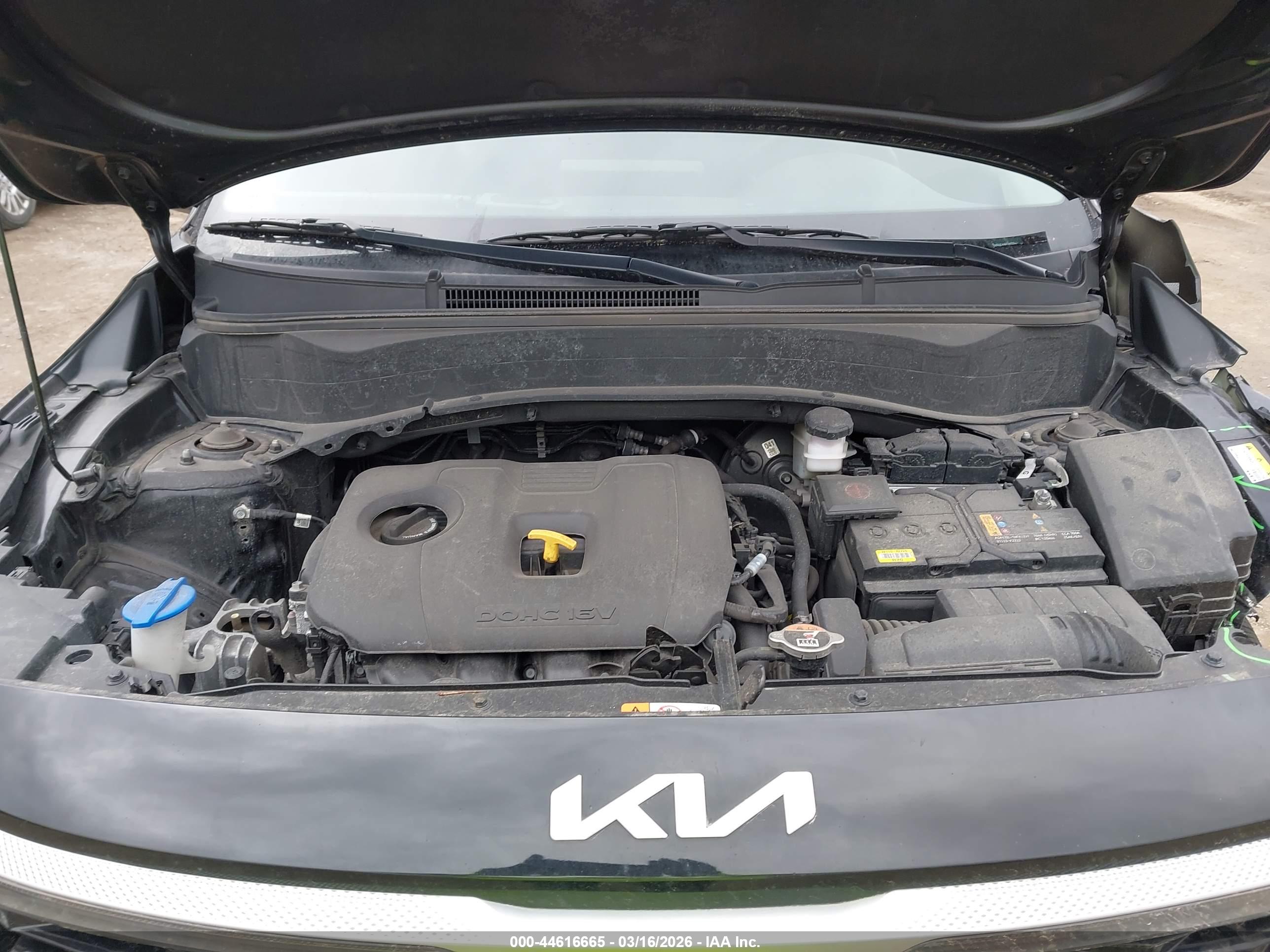 KIA SELTOS image 10