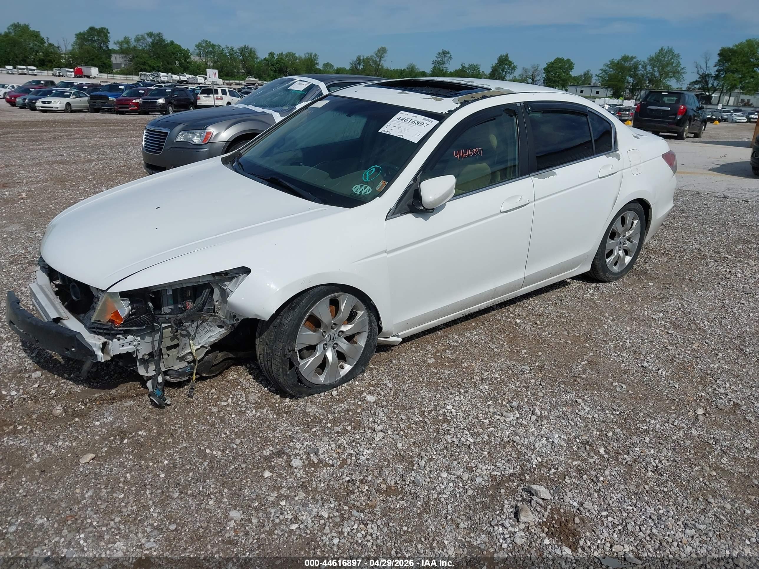 HONDA ACCORD image 2