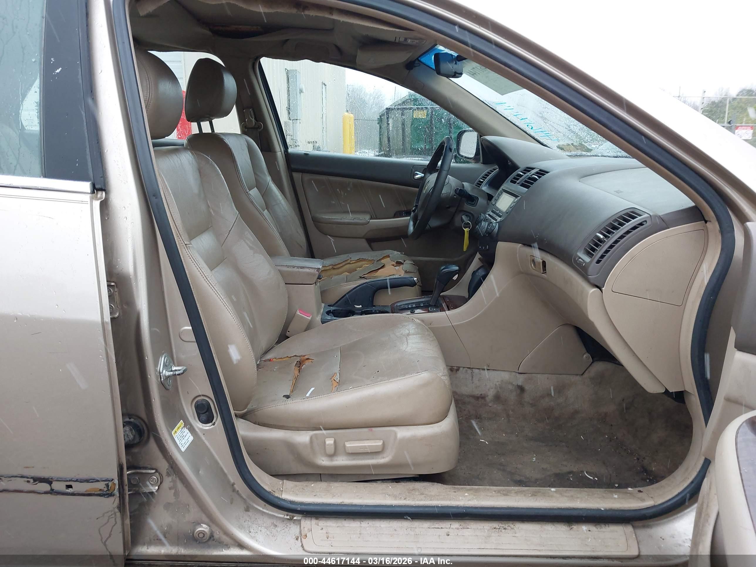 HONDA ACCORD image 5