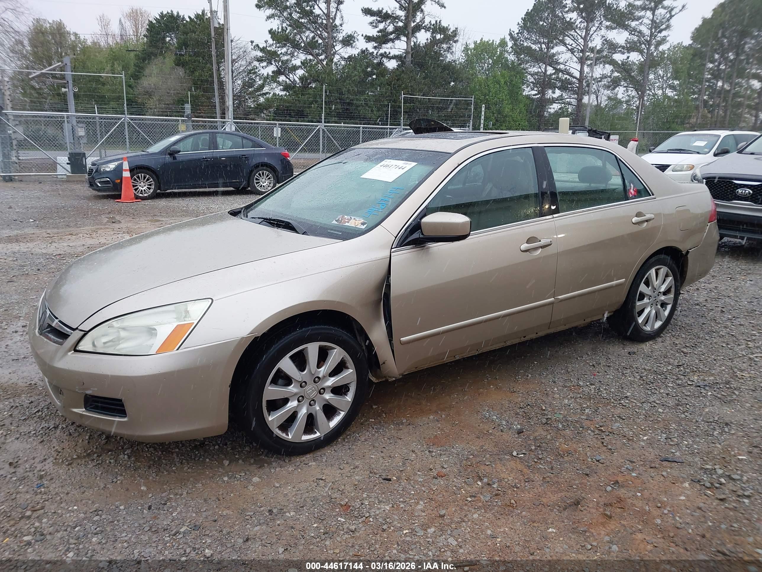 HONDA ACCORD image 6