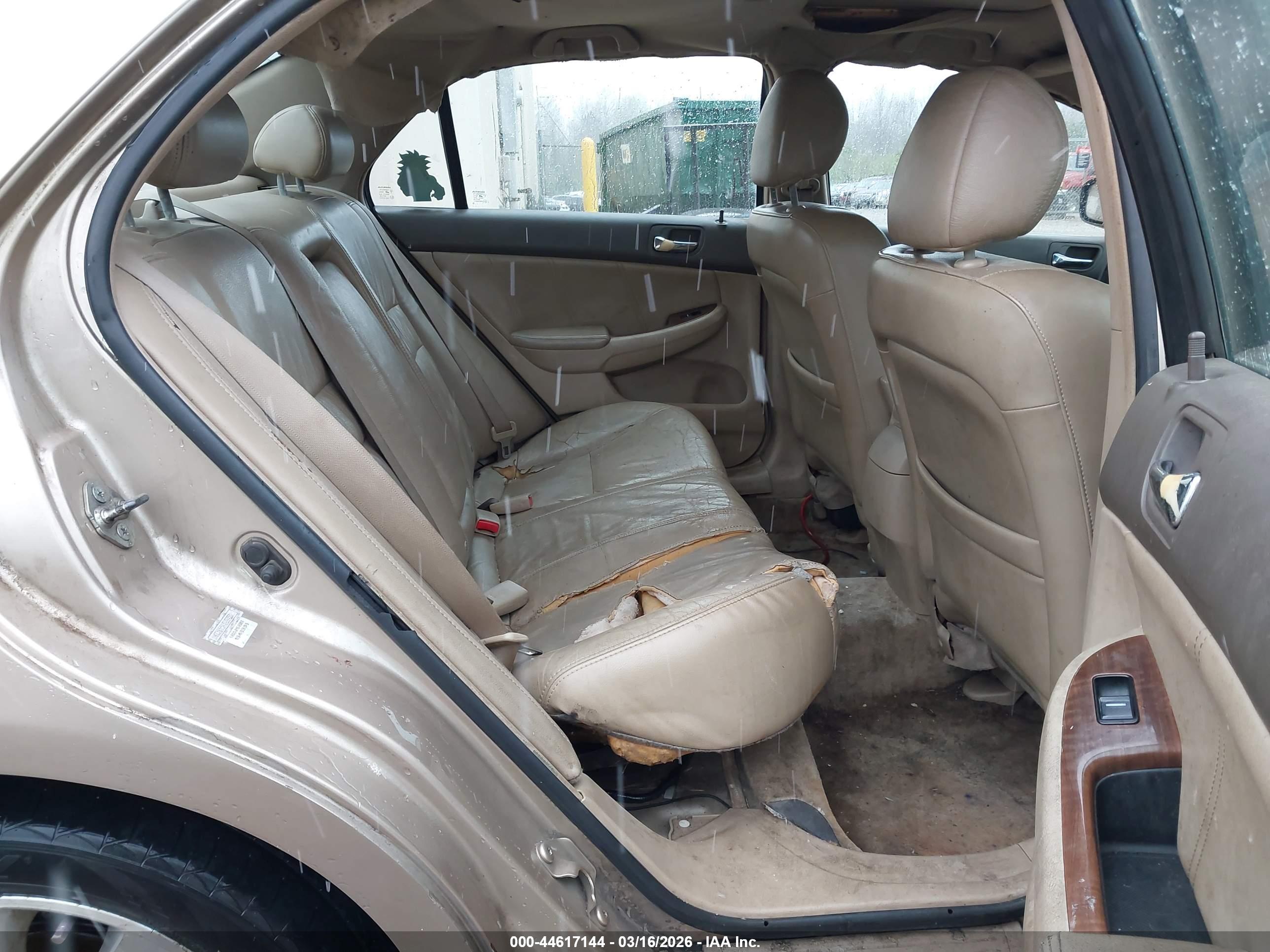 HONDA ACCORD image 8