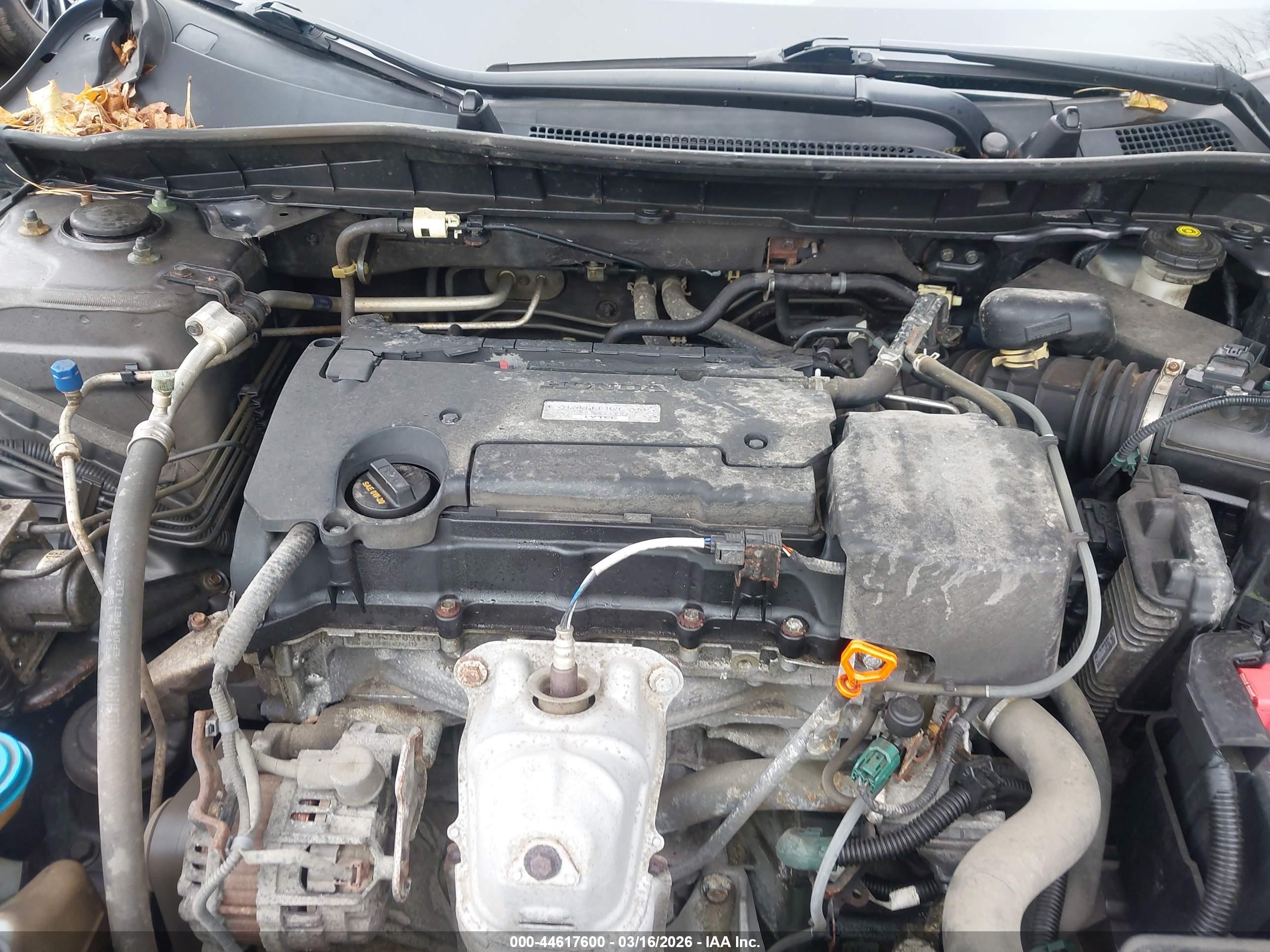 HONDA ACCORD image 10