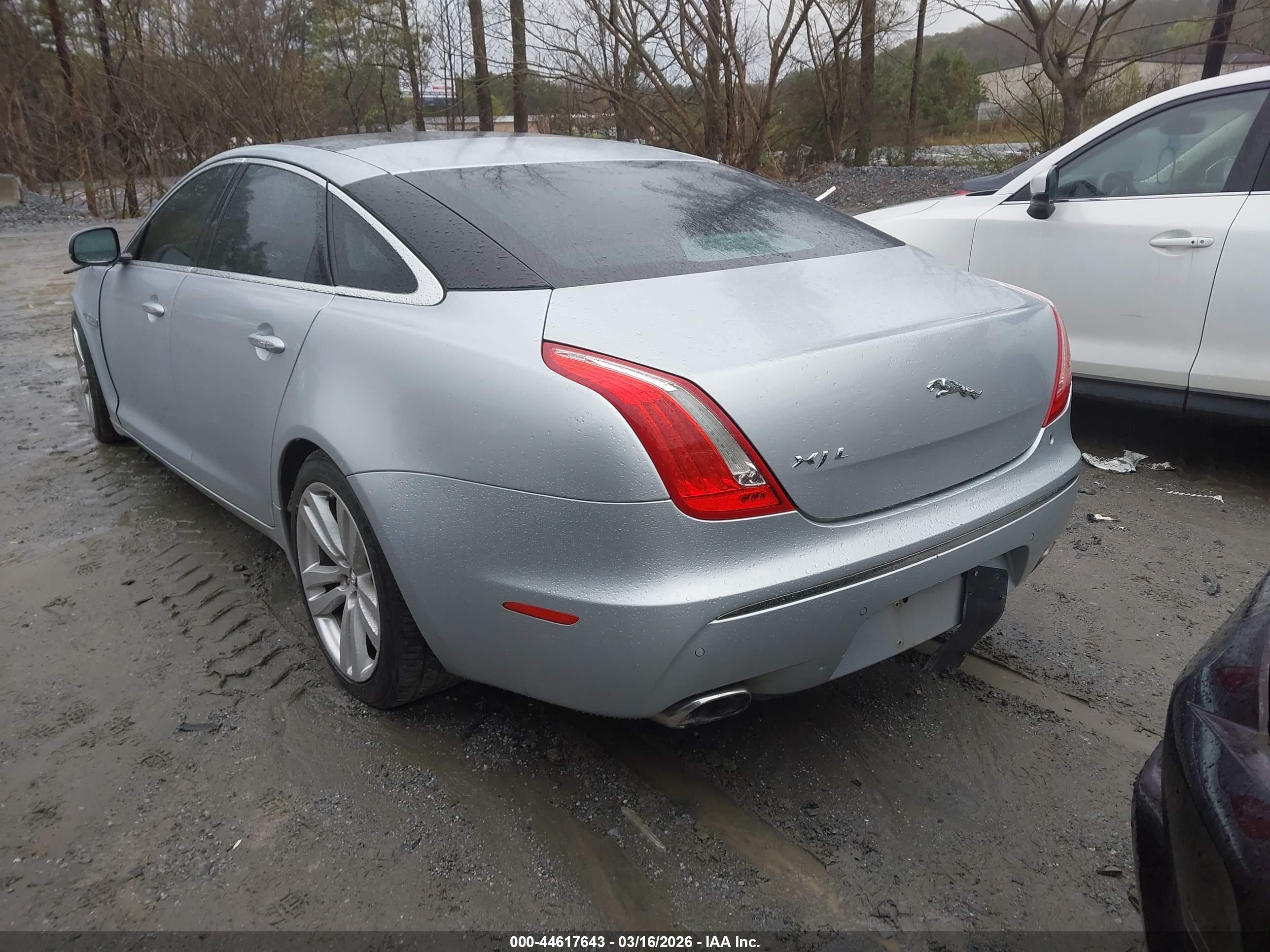 JAGUAR XJ image 3