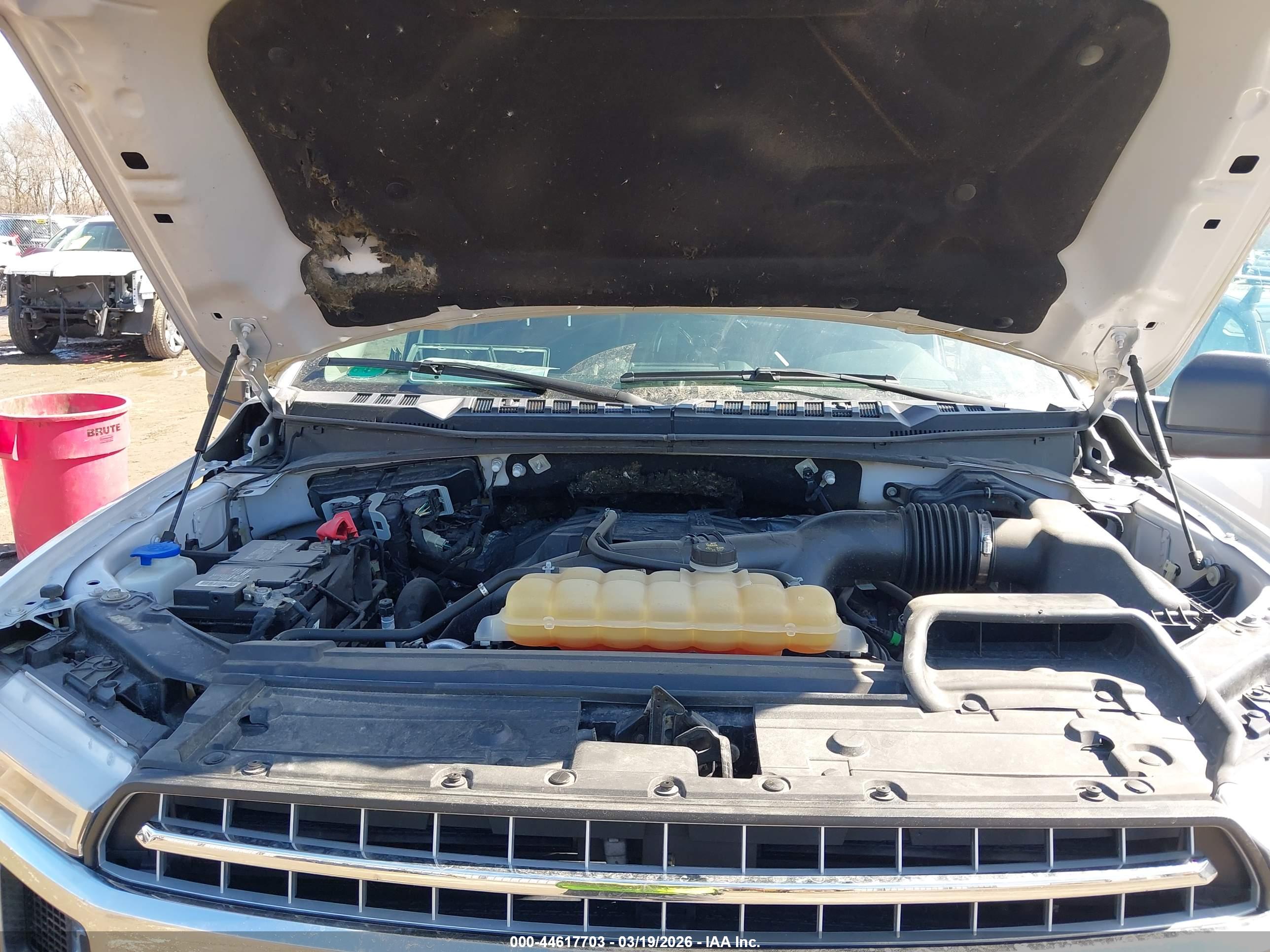 FORD F-150 image 10